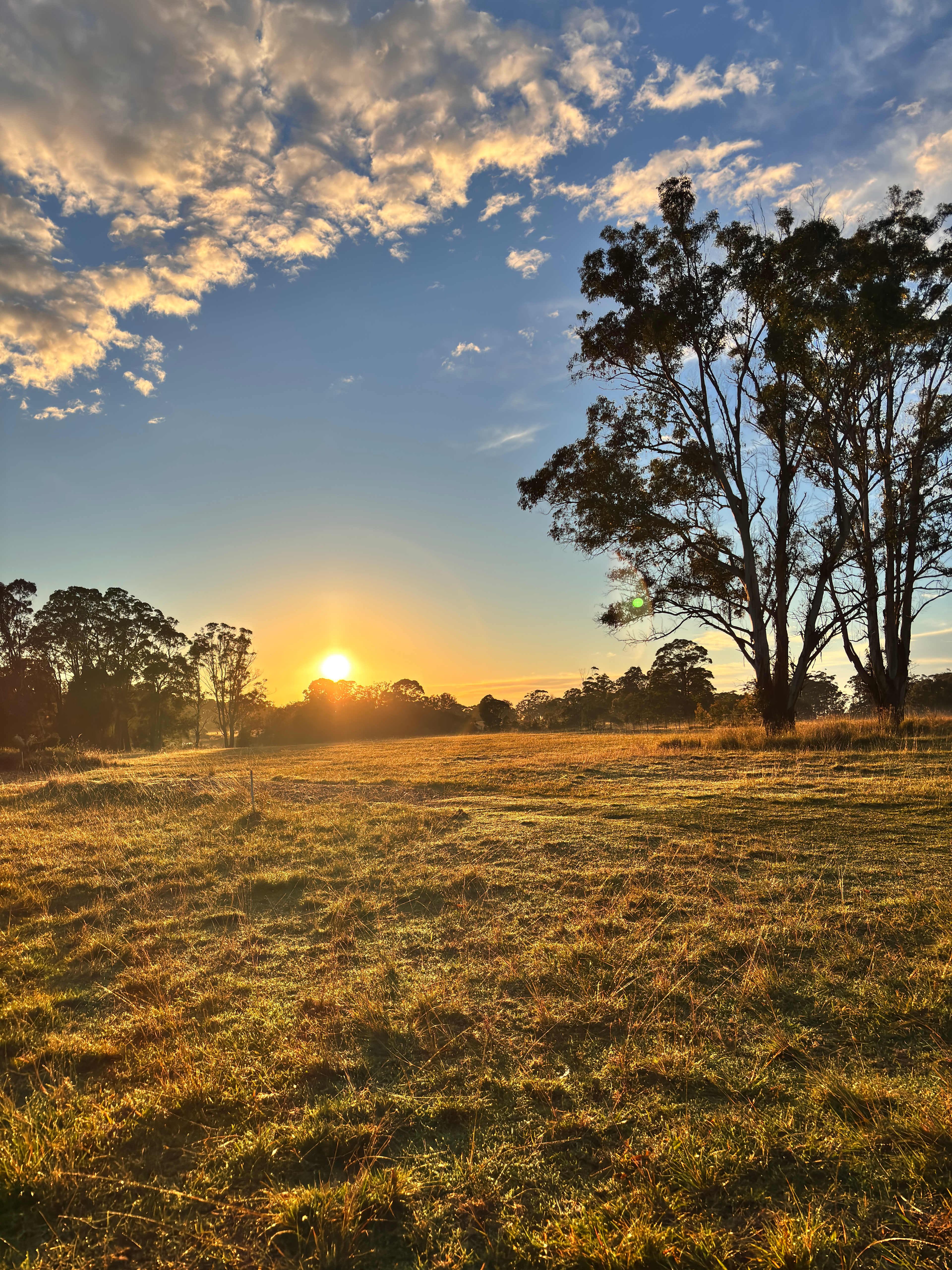 Diamond Park Campsite