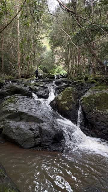 Coorie Vale
