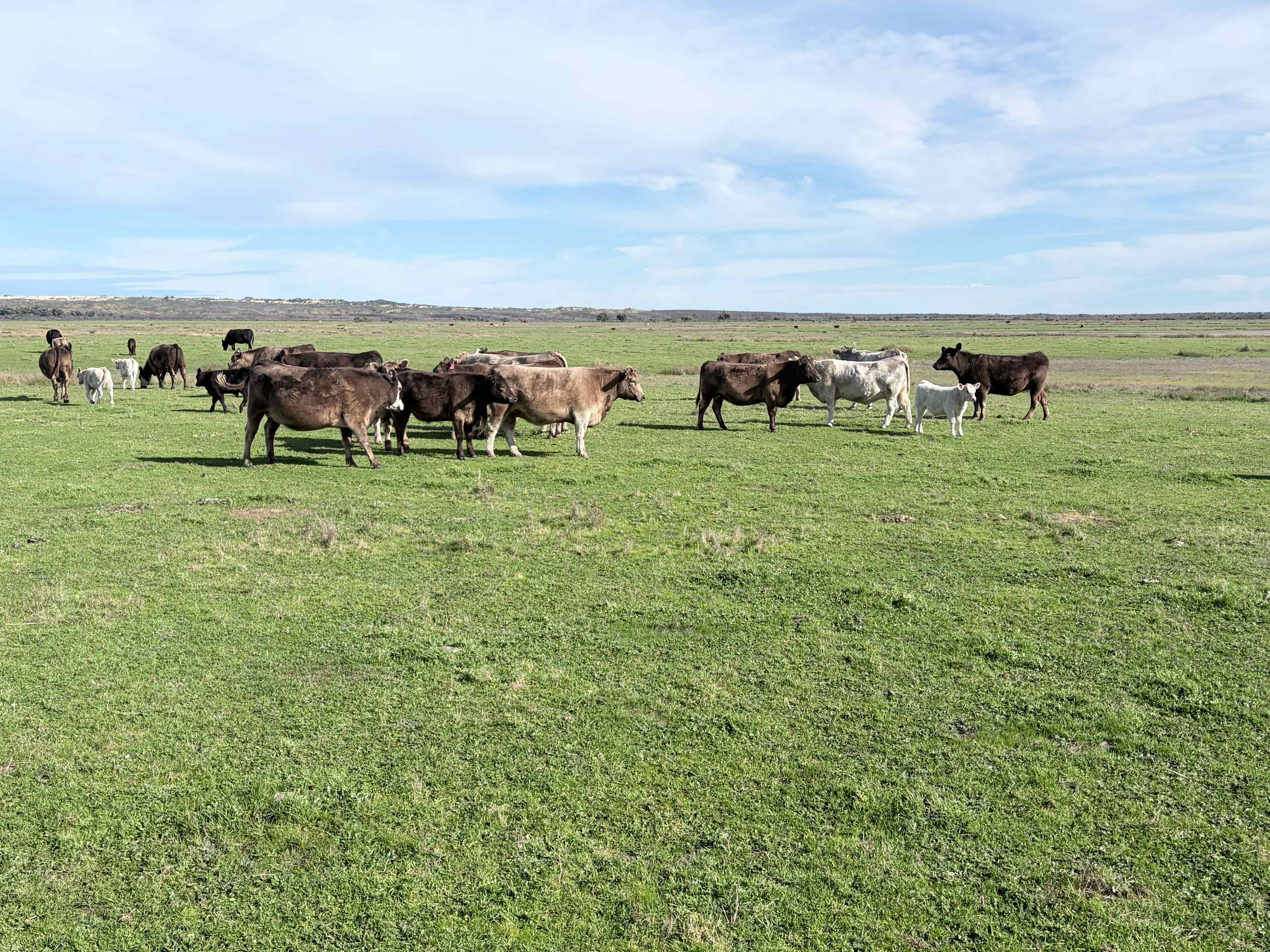 Nambung Station Stay