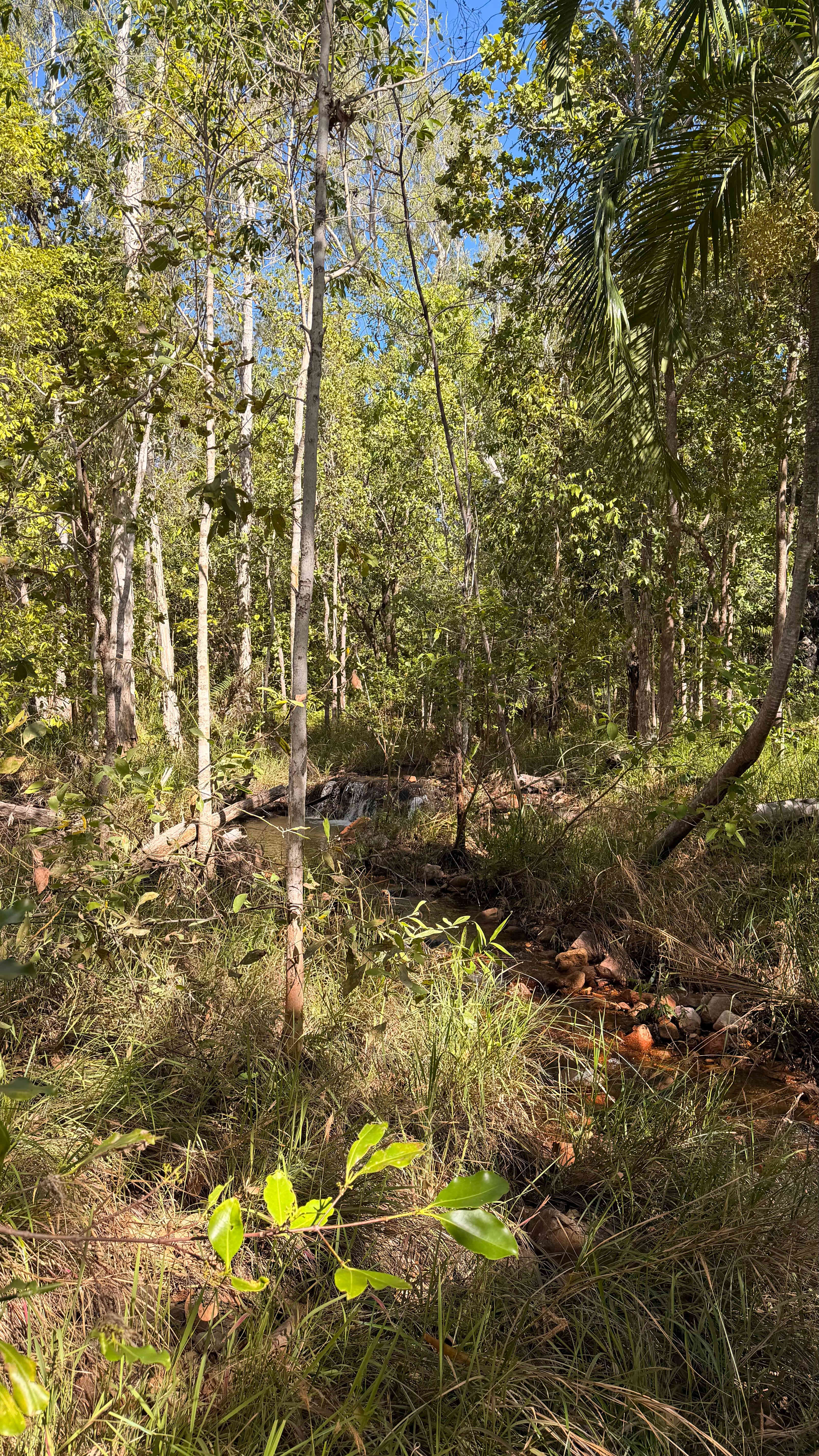 Anniversary Ridge Wilderness Park
