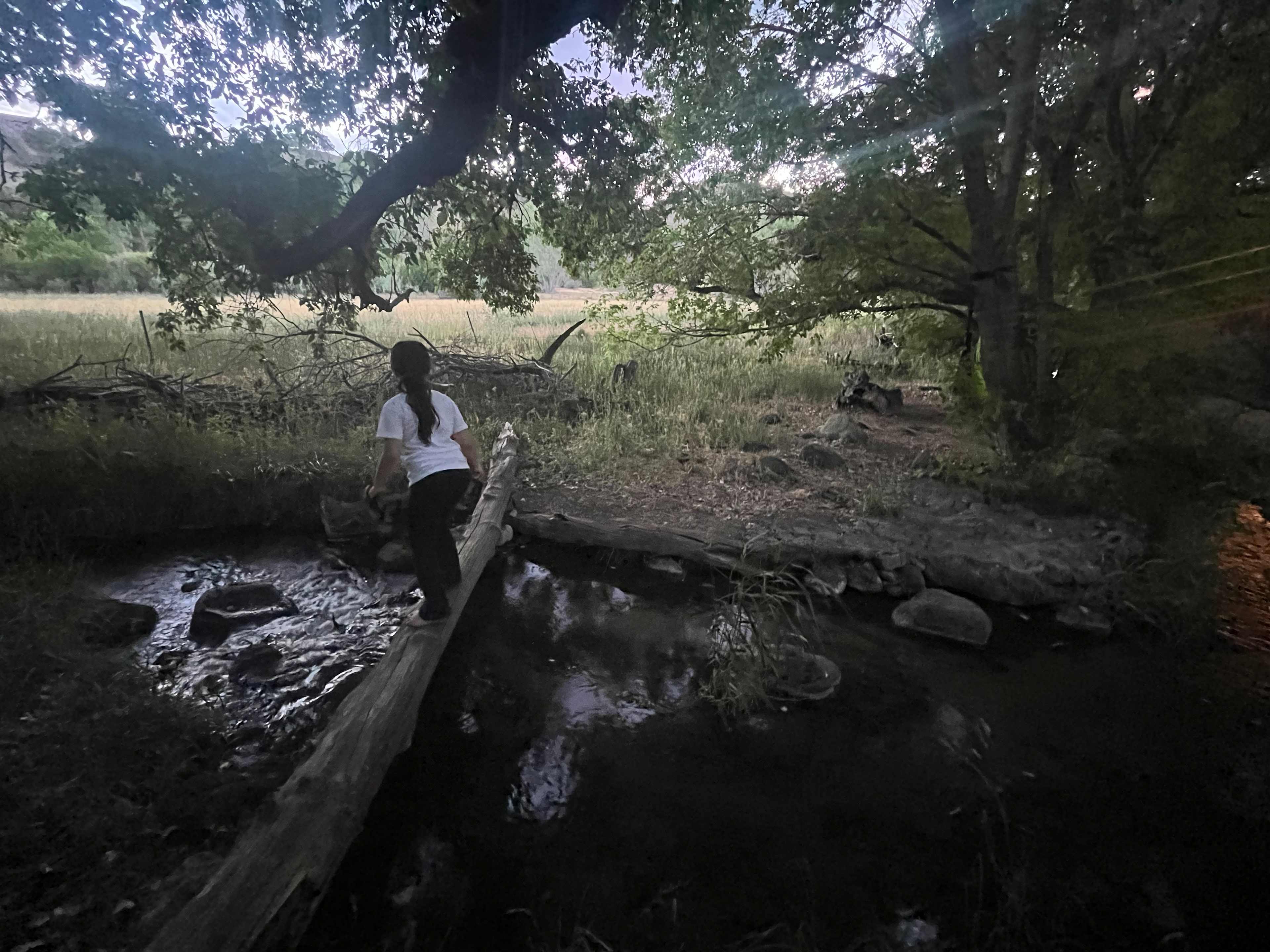 Freshwater creek near kitchen area