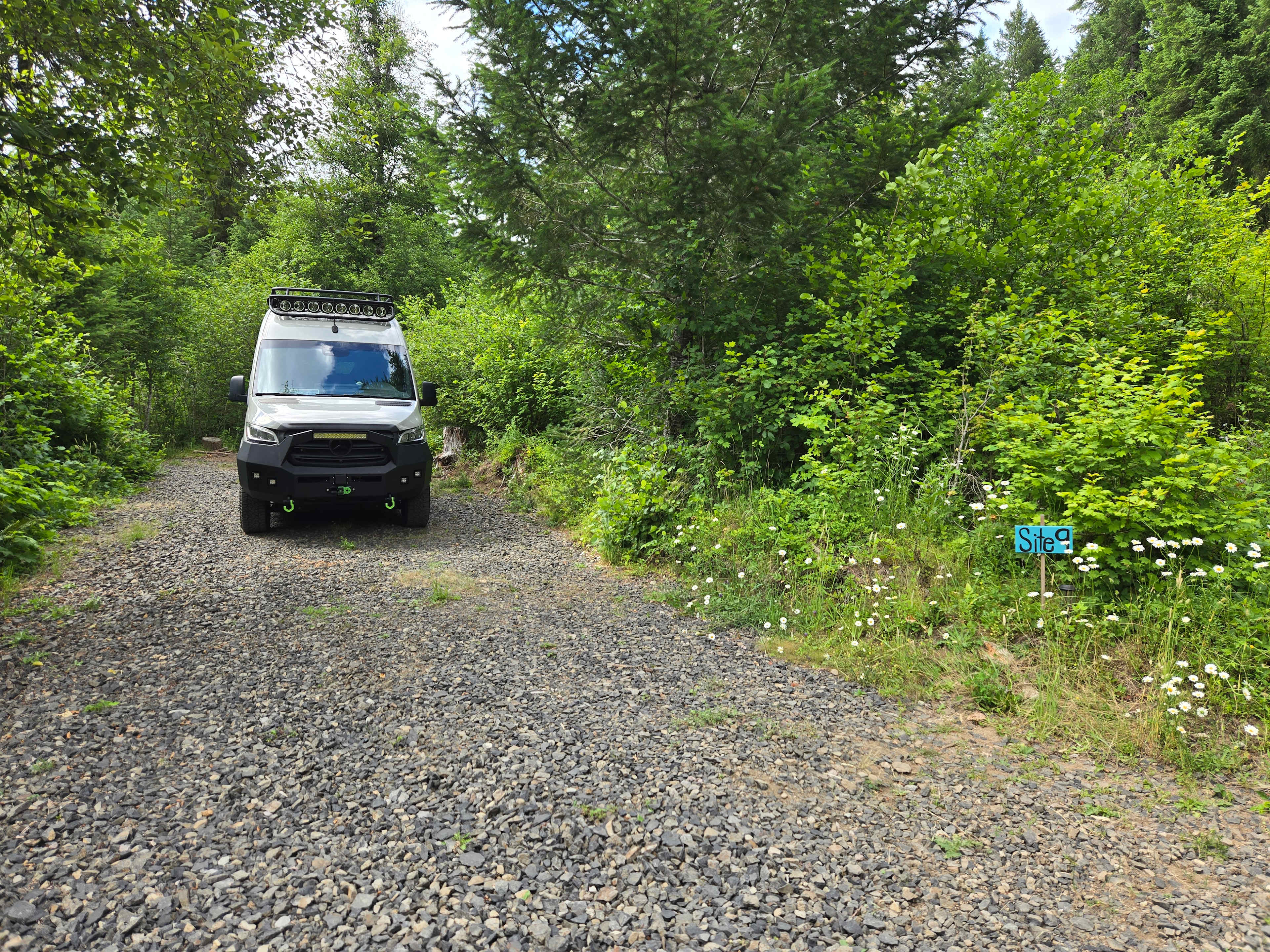 Picture of the site