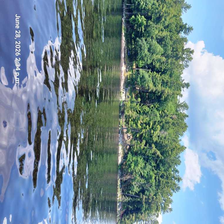 Muskoka Wellness Retreat