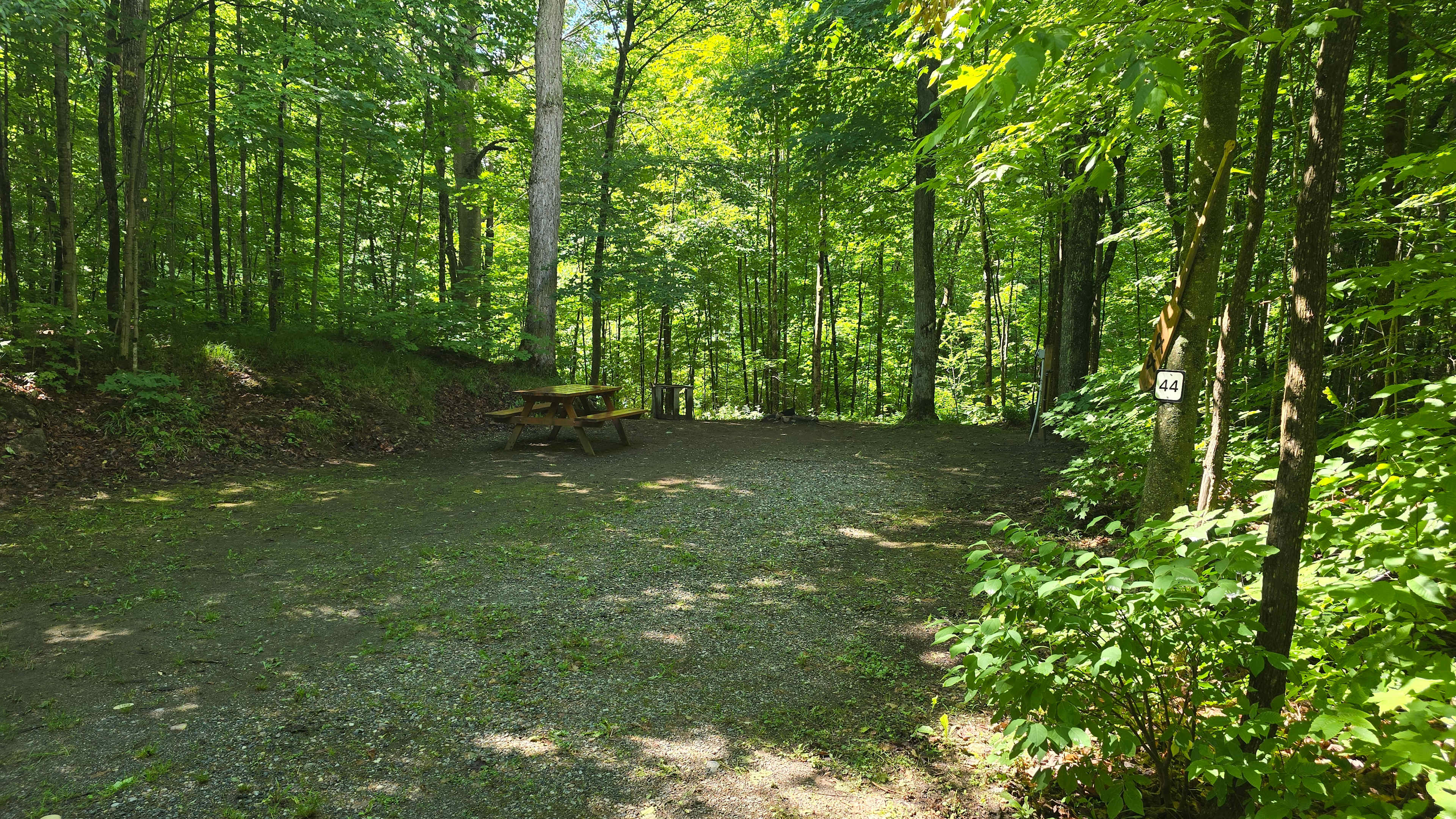 Picture of the site