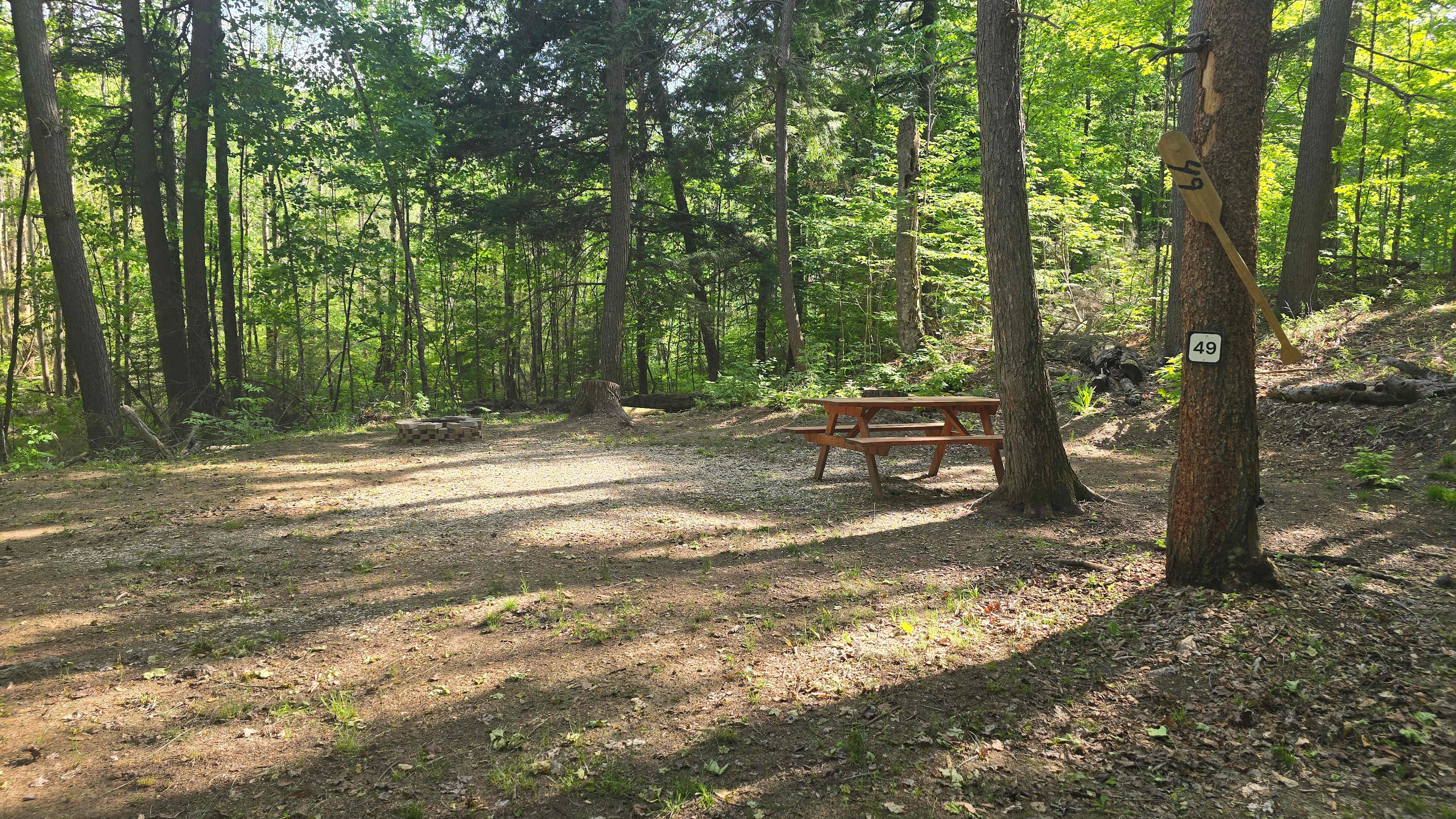 Picture of the site