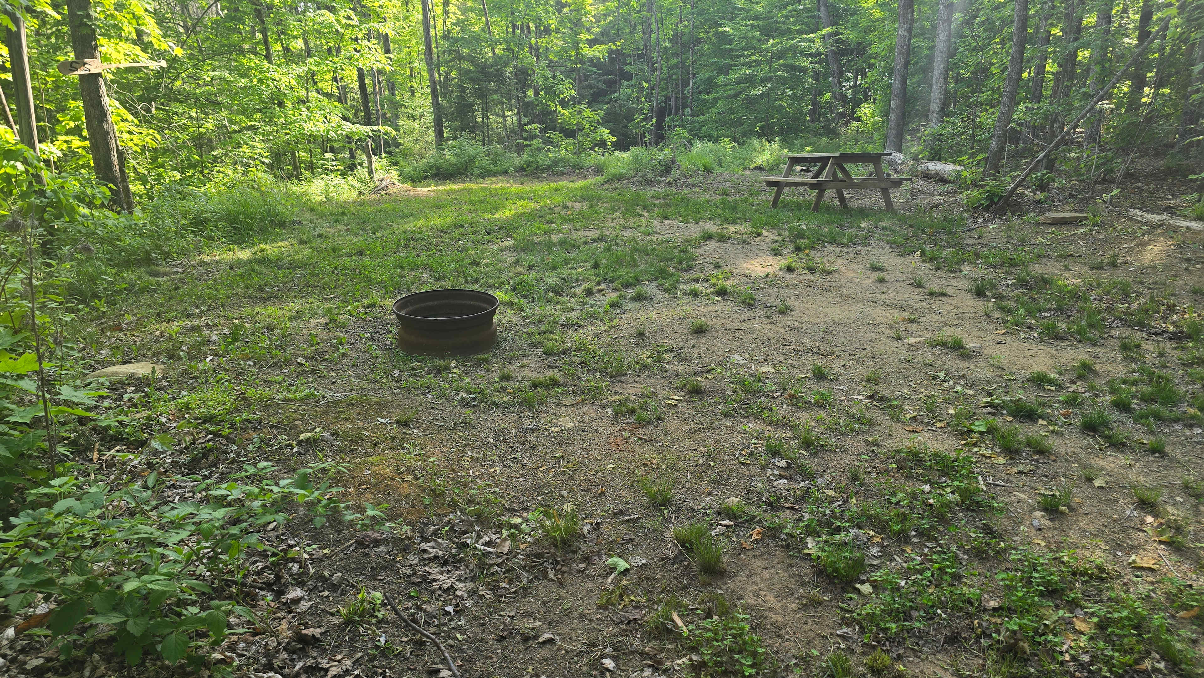 Picture of the site