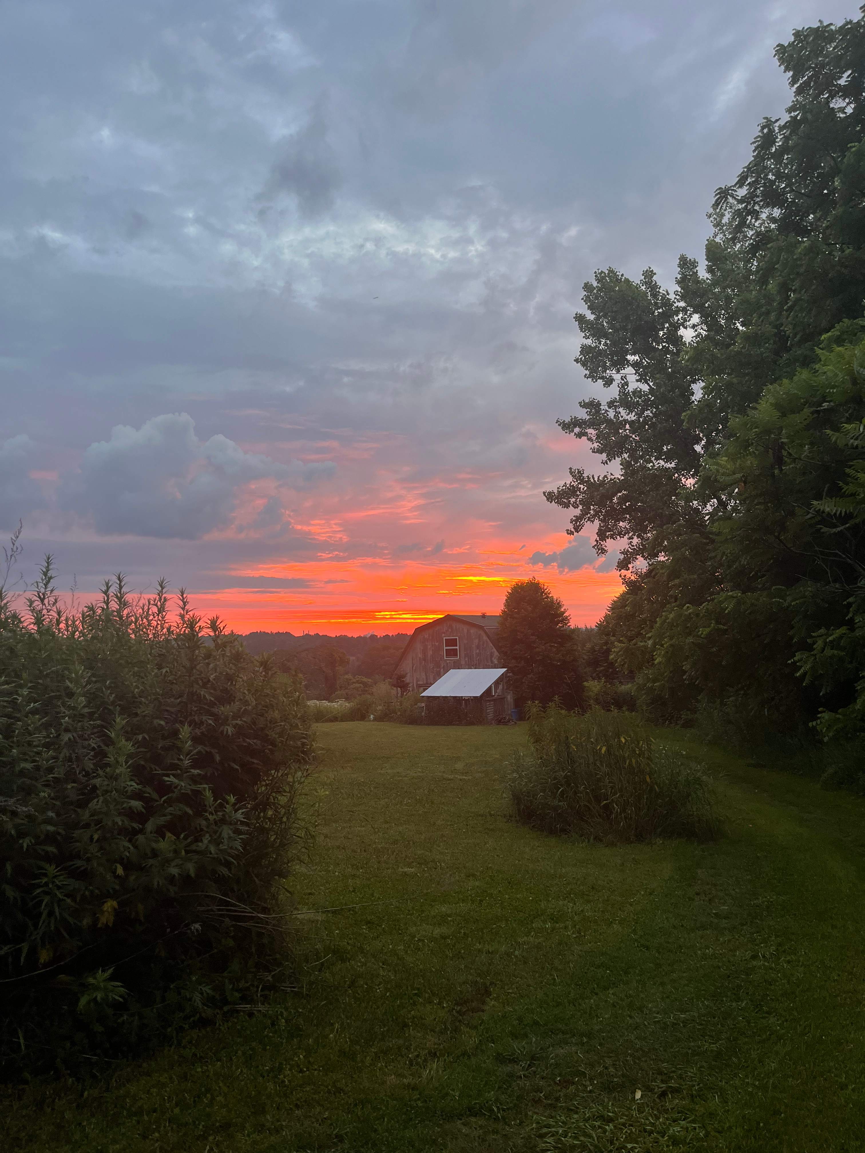 Sunrise