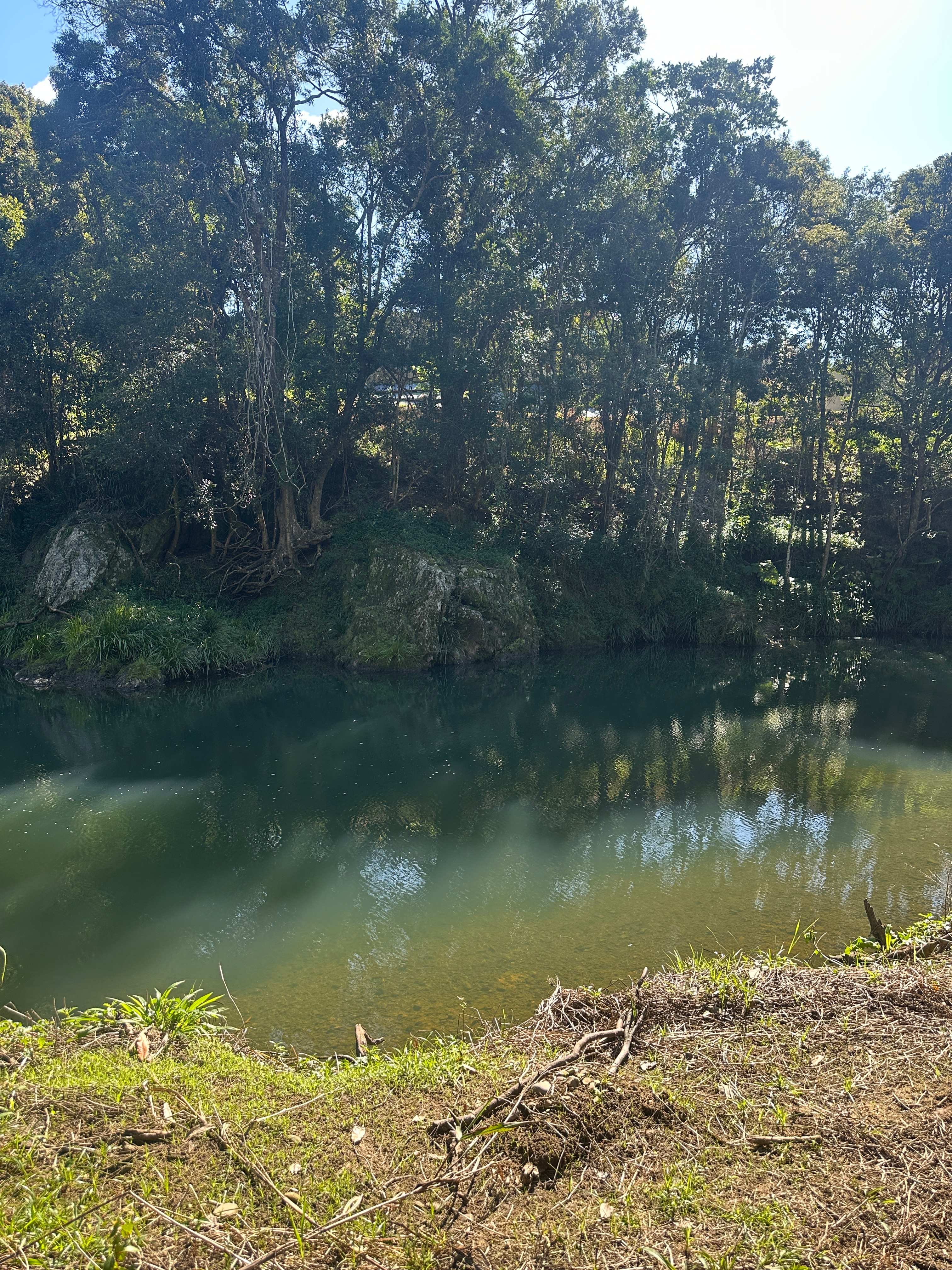 Tallebudgera Veg Sanctuary.