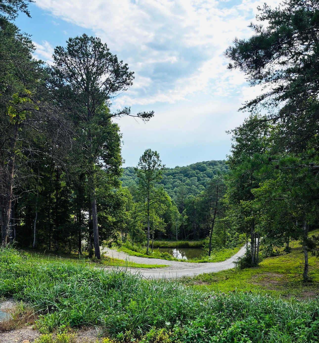 Rustling Pines Horse Camp