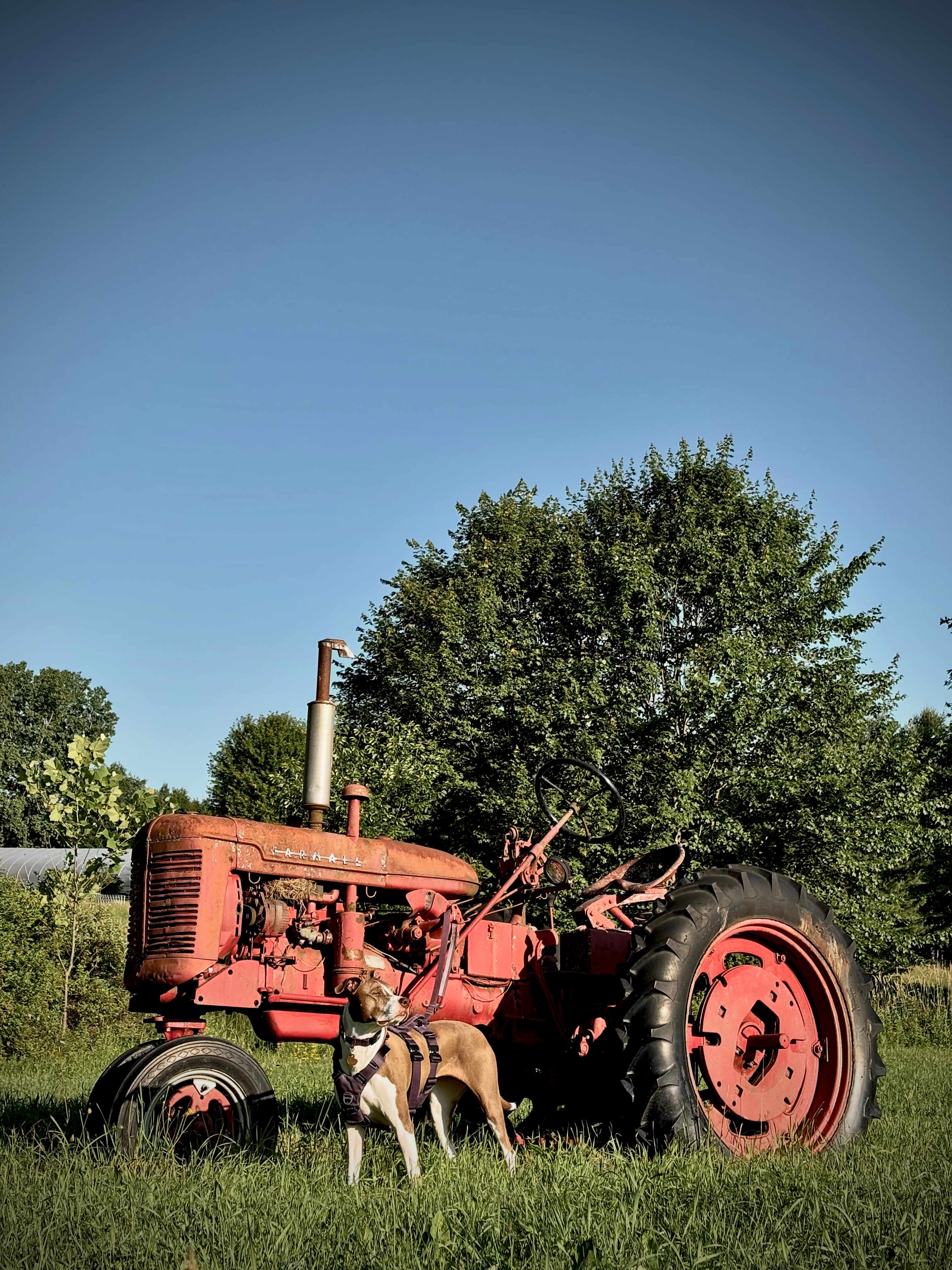 Underhill Forest and Farm