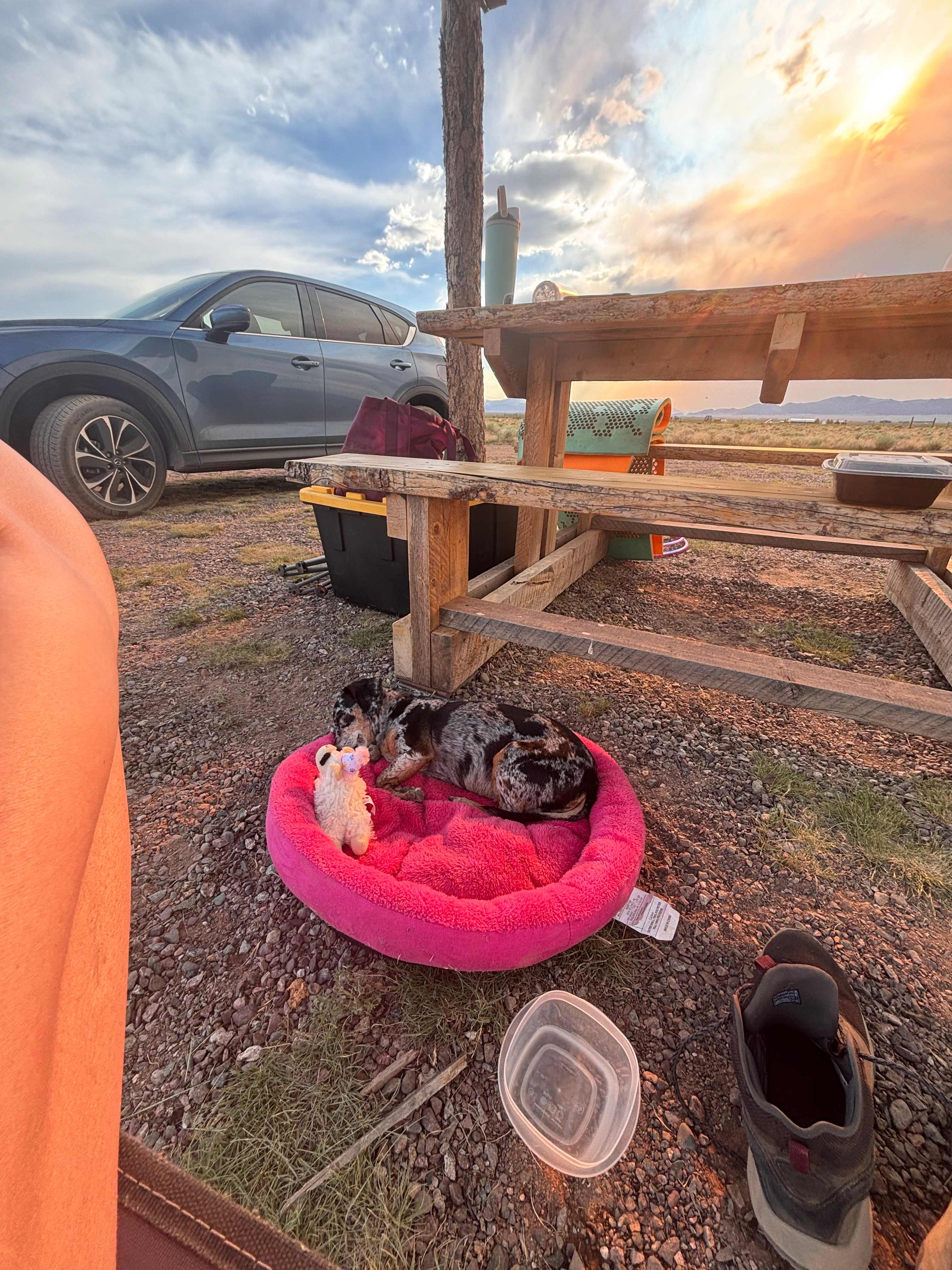 Hummingbird Ranch