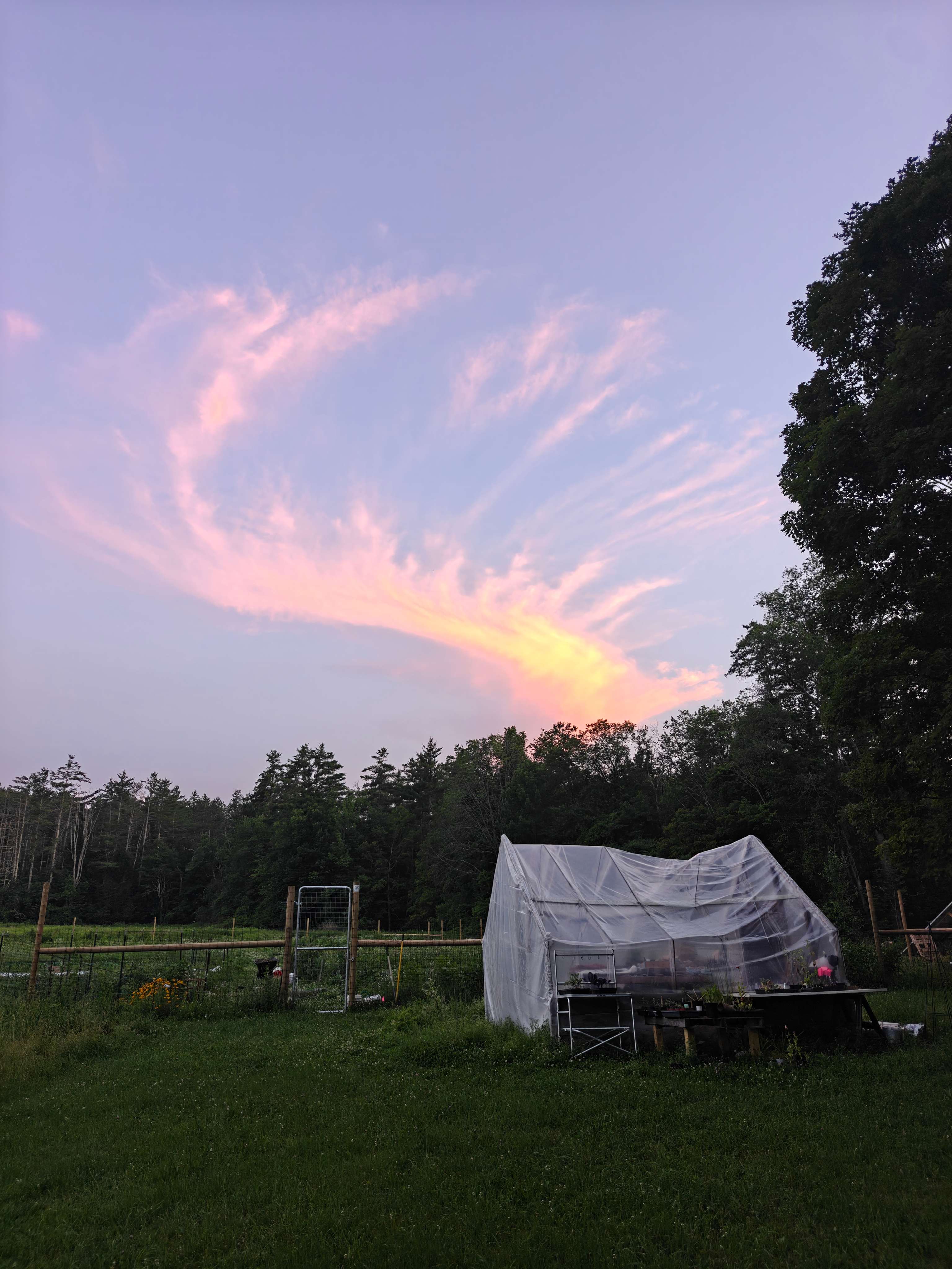 Field & Farm by Ancient Maples