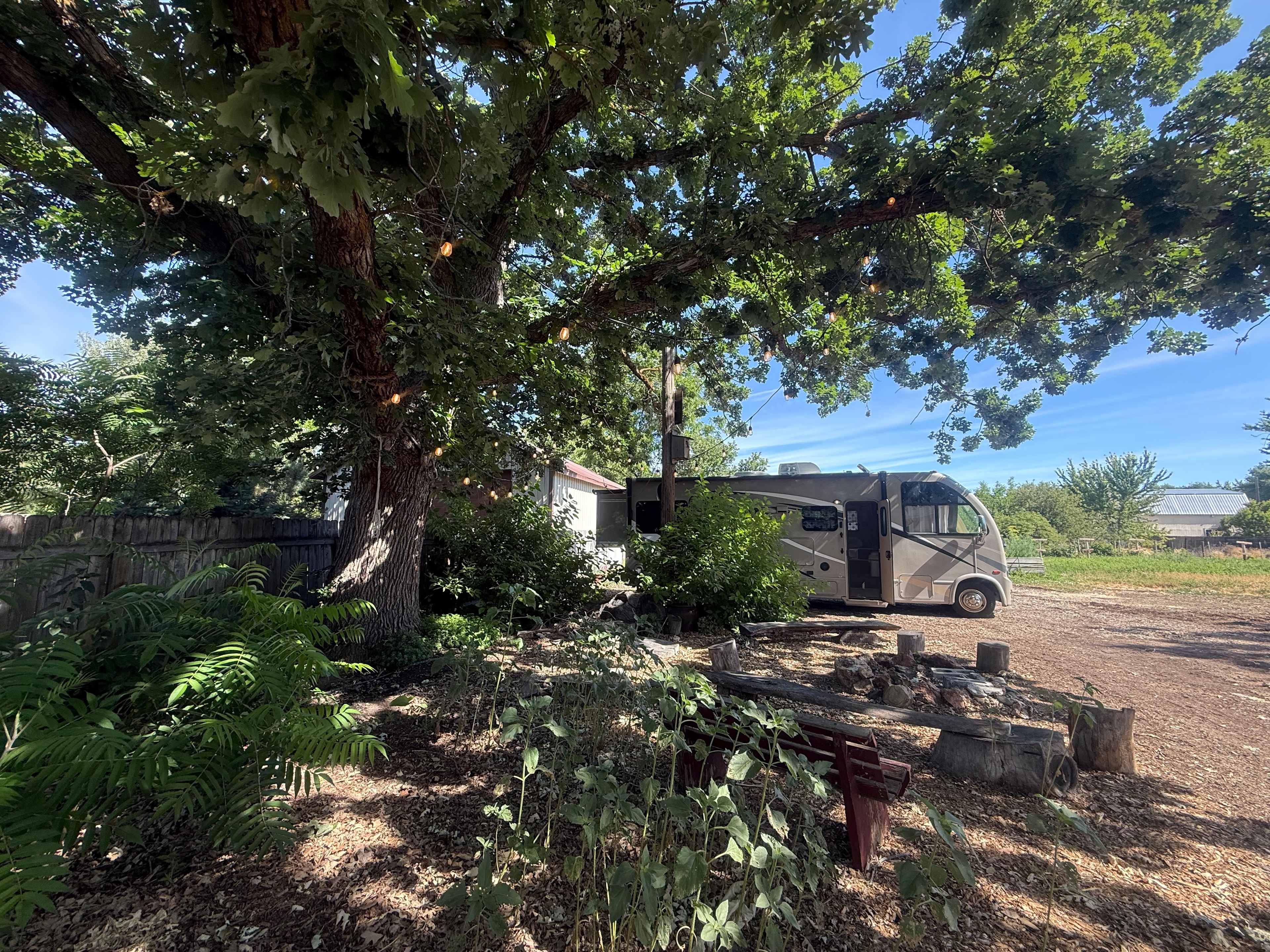 Butterfield Farms