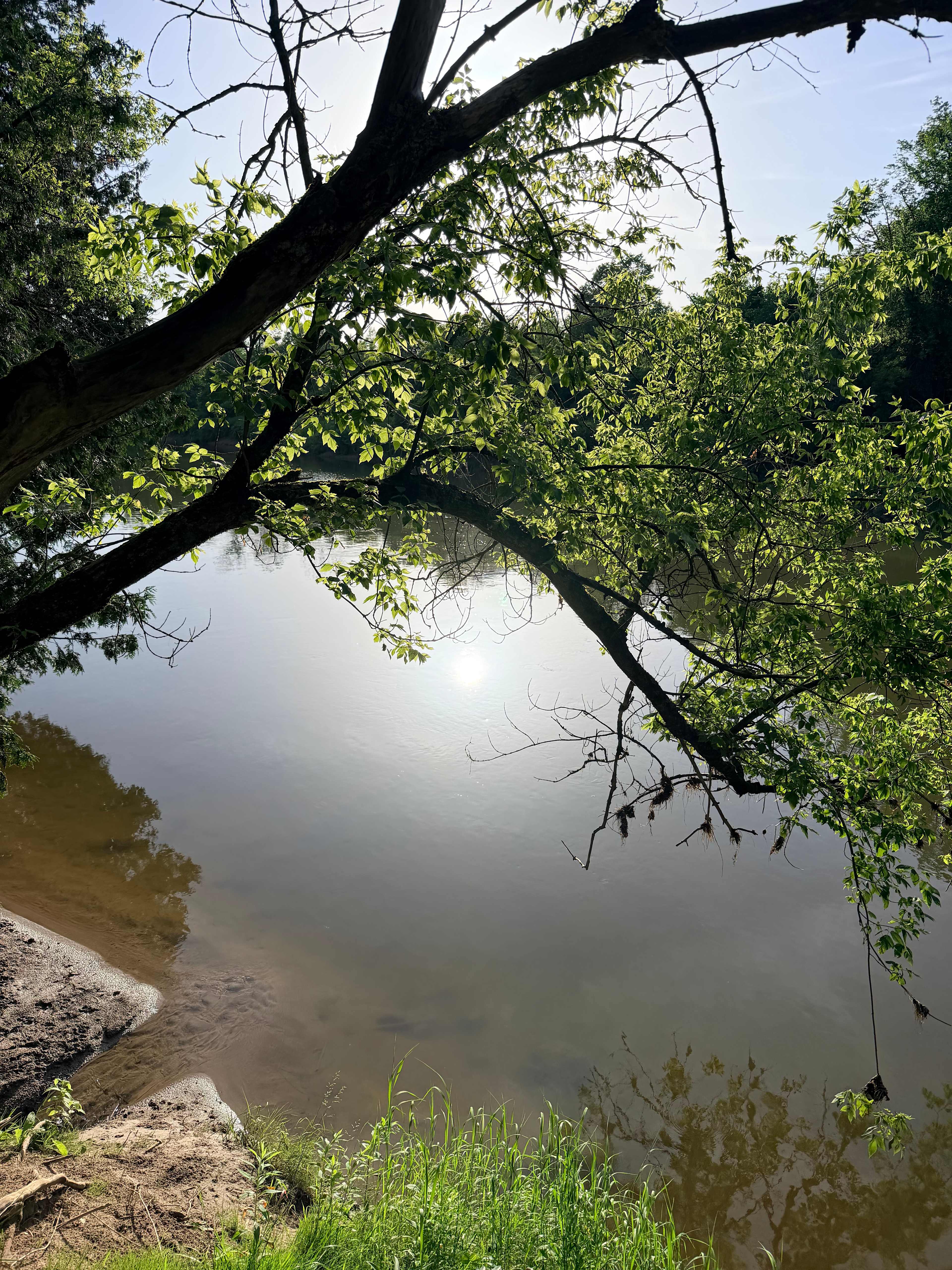 Rowley's Saugeen River Adv. Acres