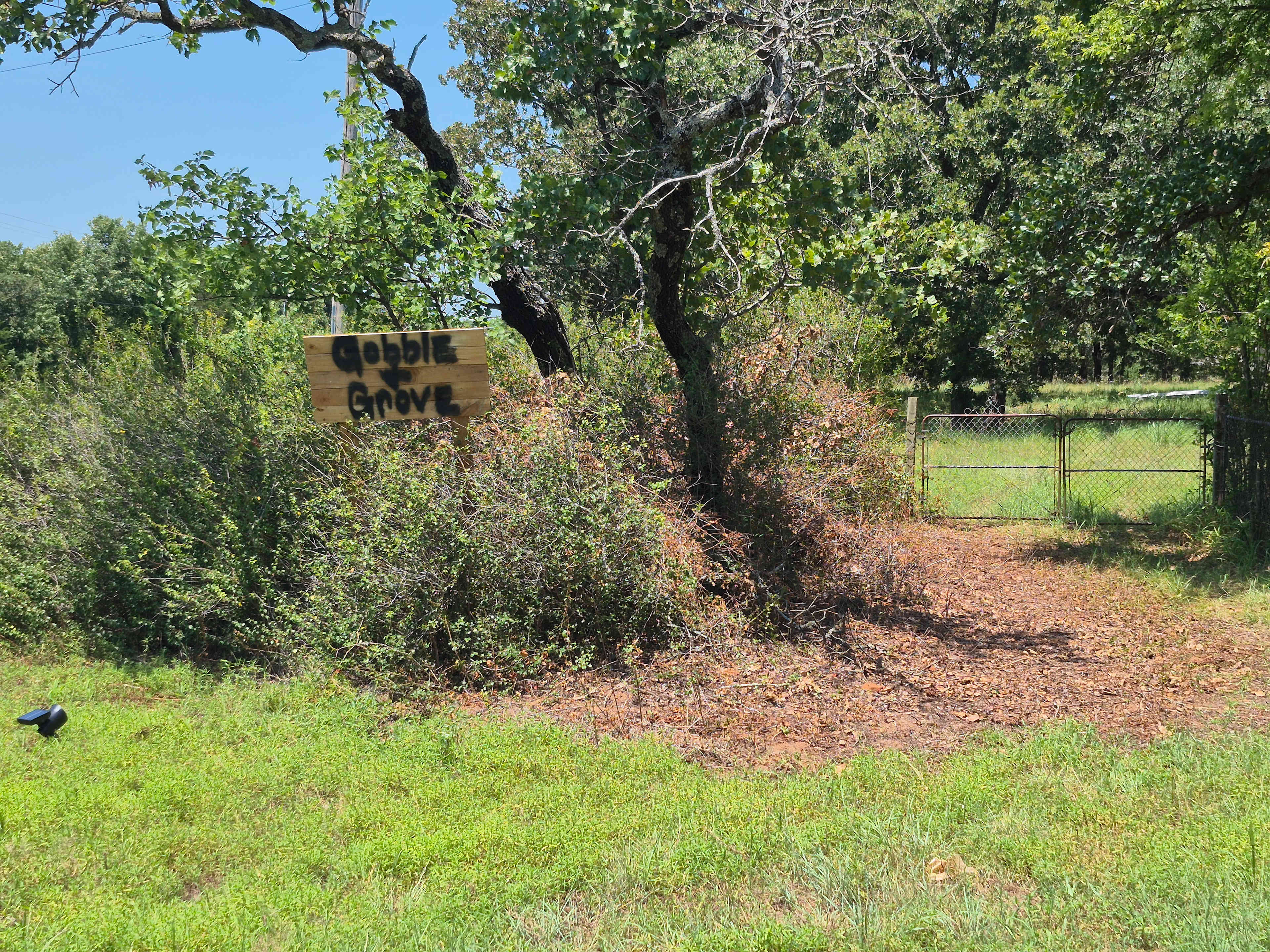 Picture of the site