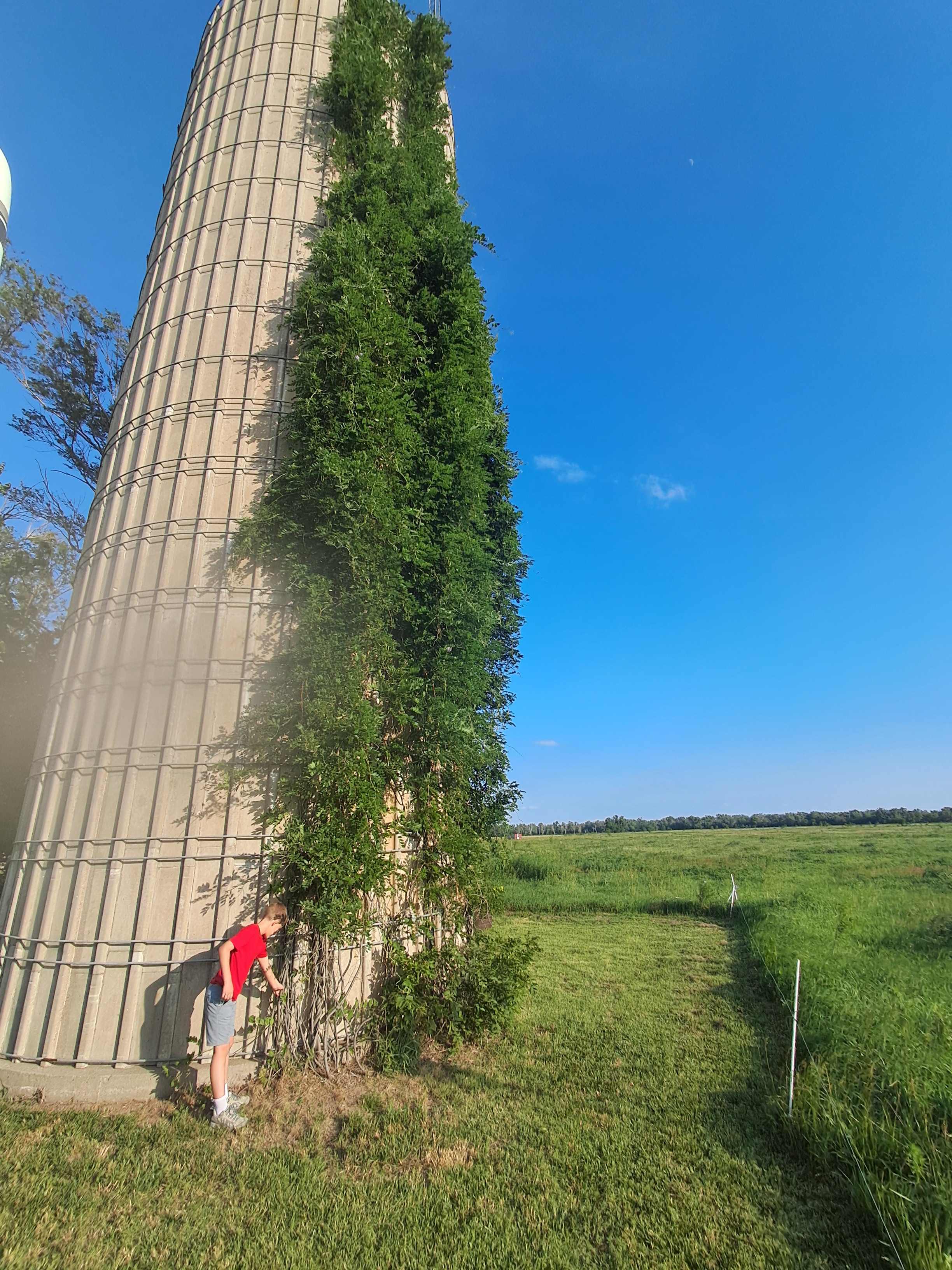 Daniel's 100-yr-old farm