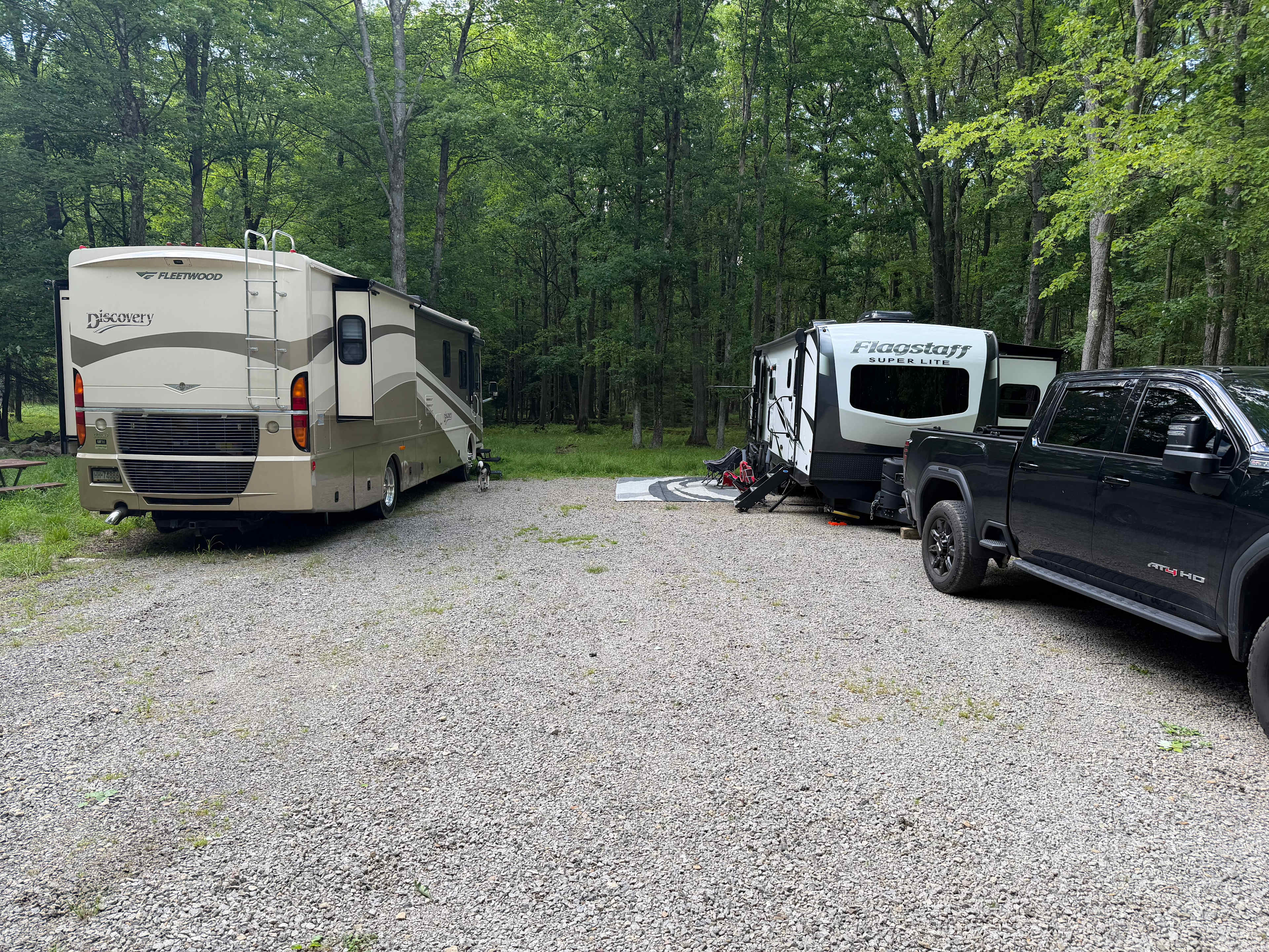 Clear Creek Cook Forest Campsite