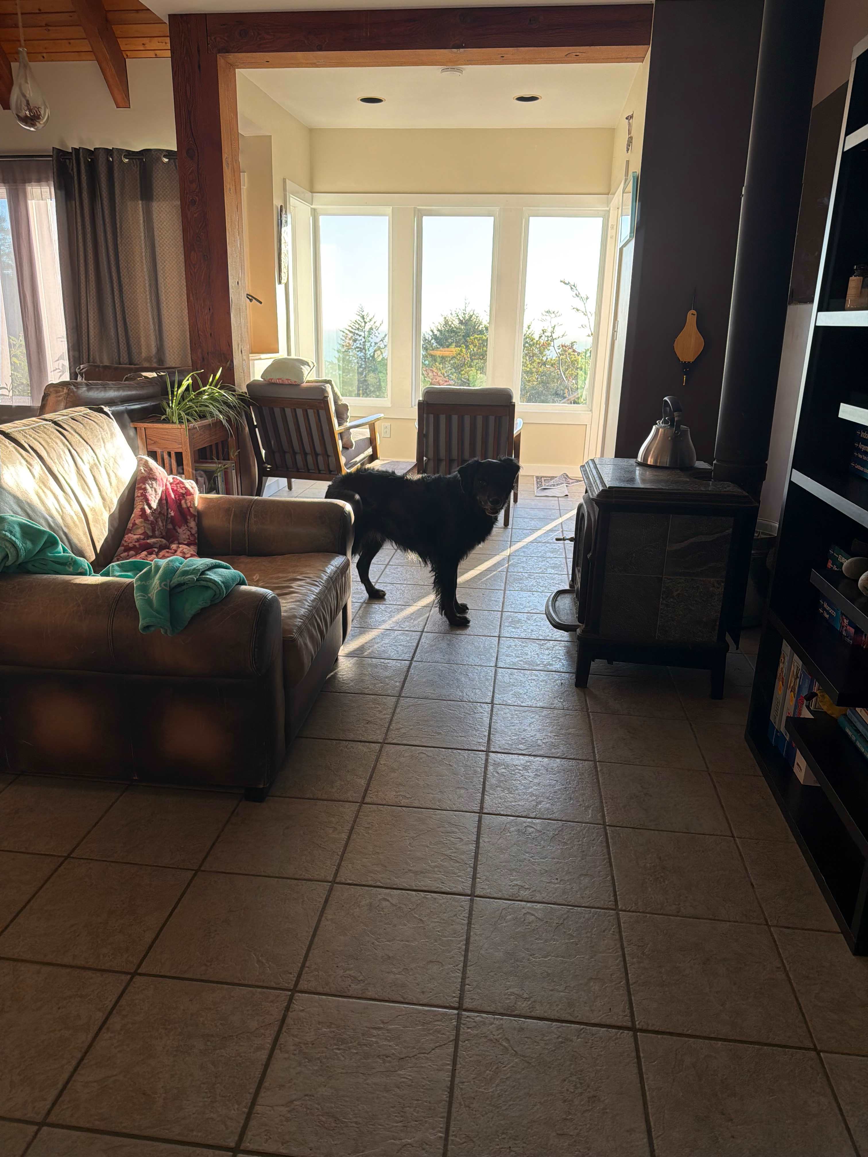 Lost Coast, Oceanview Retreat