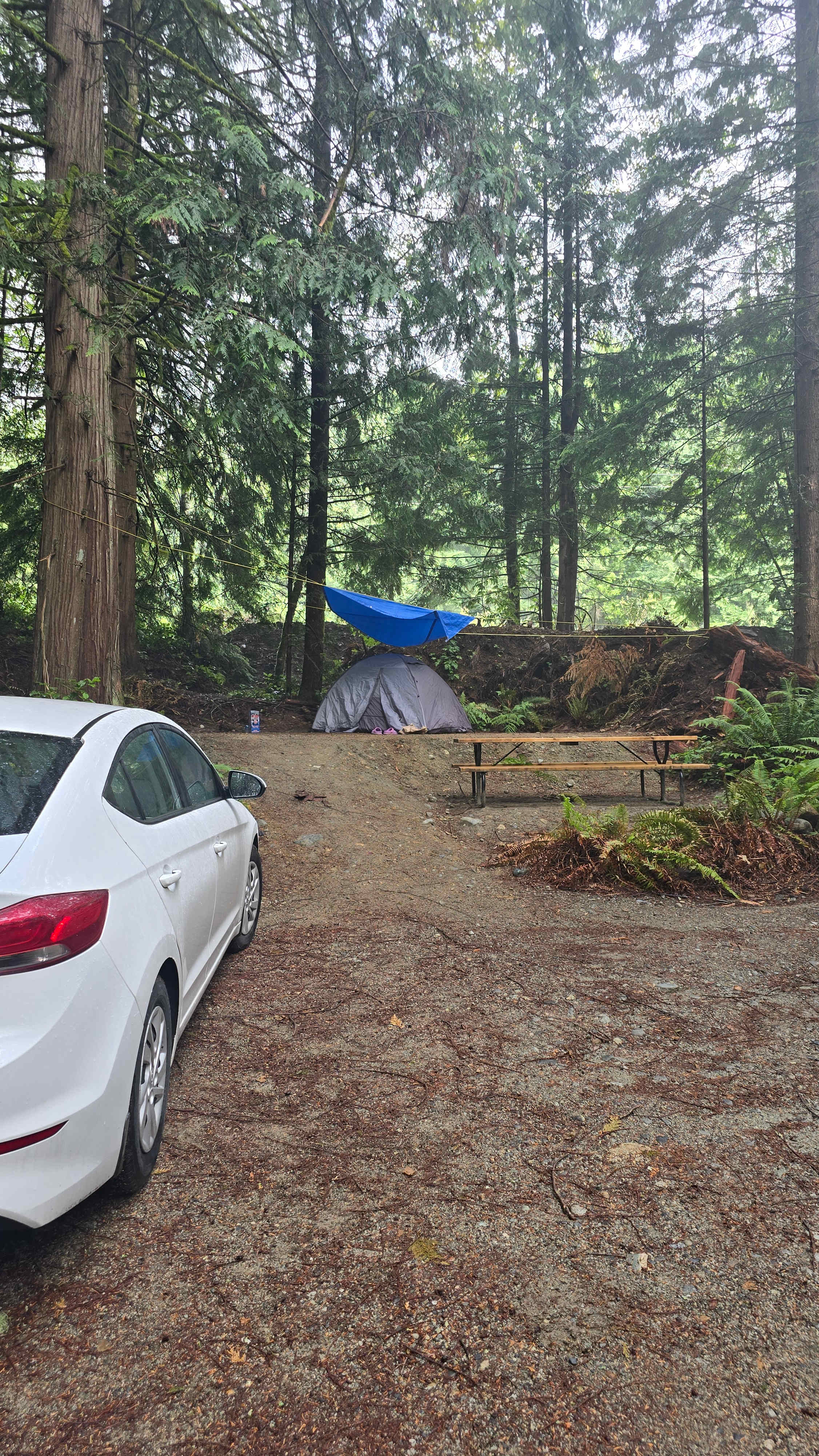 Gibsons Creek RV Park & Campground