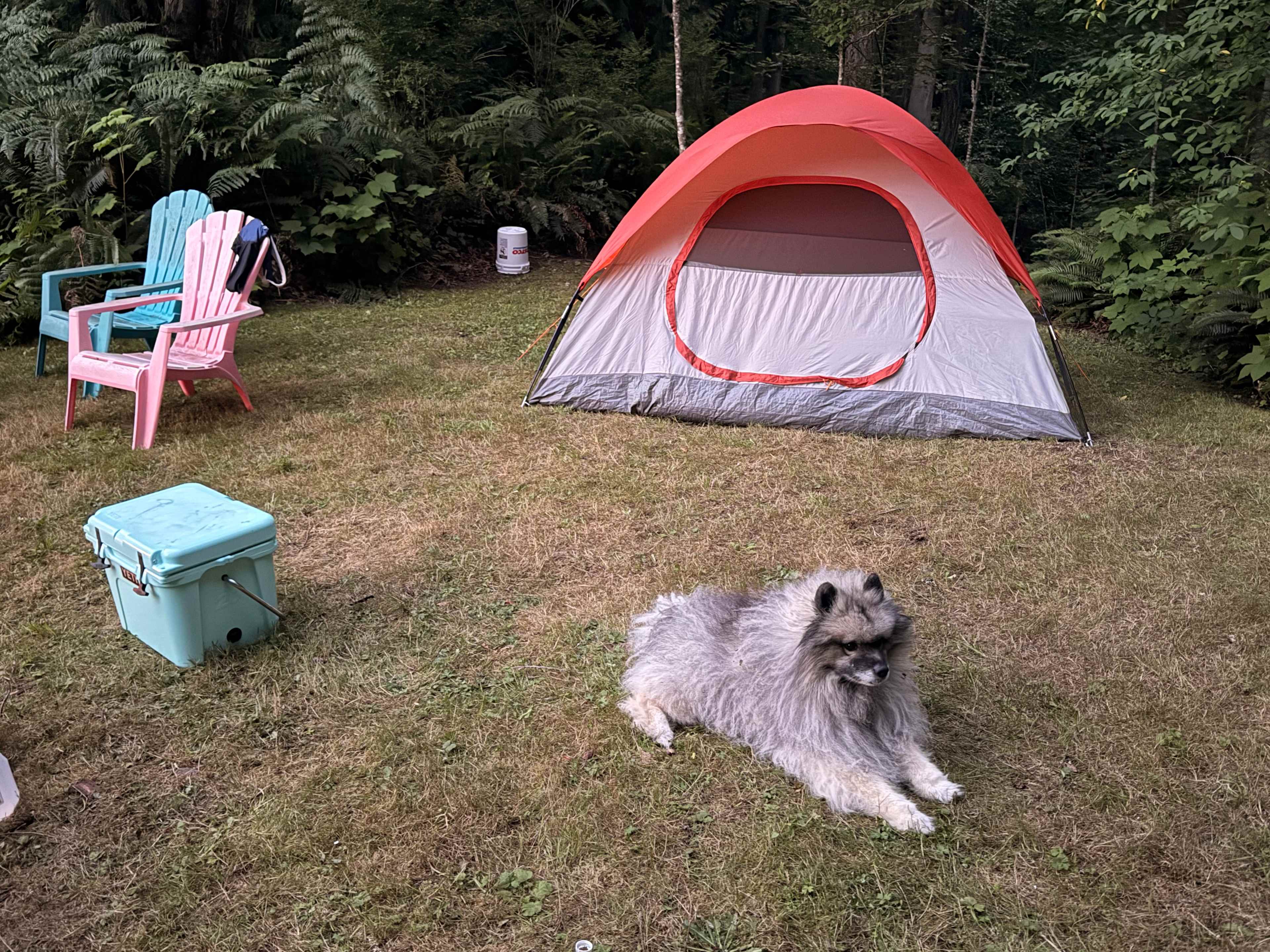 Dog friendly too!