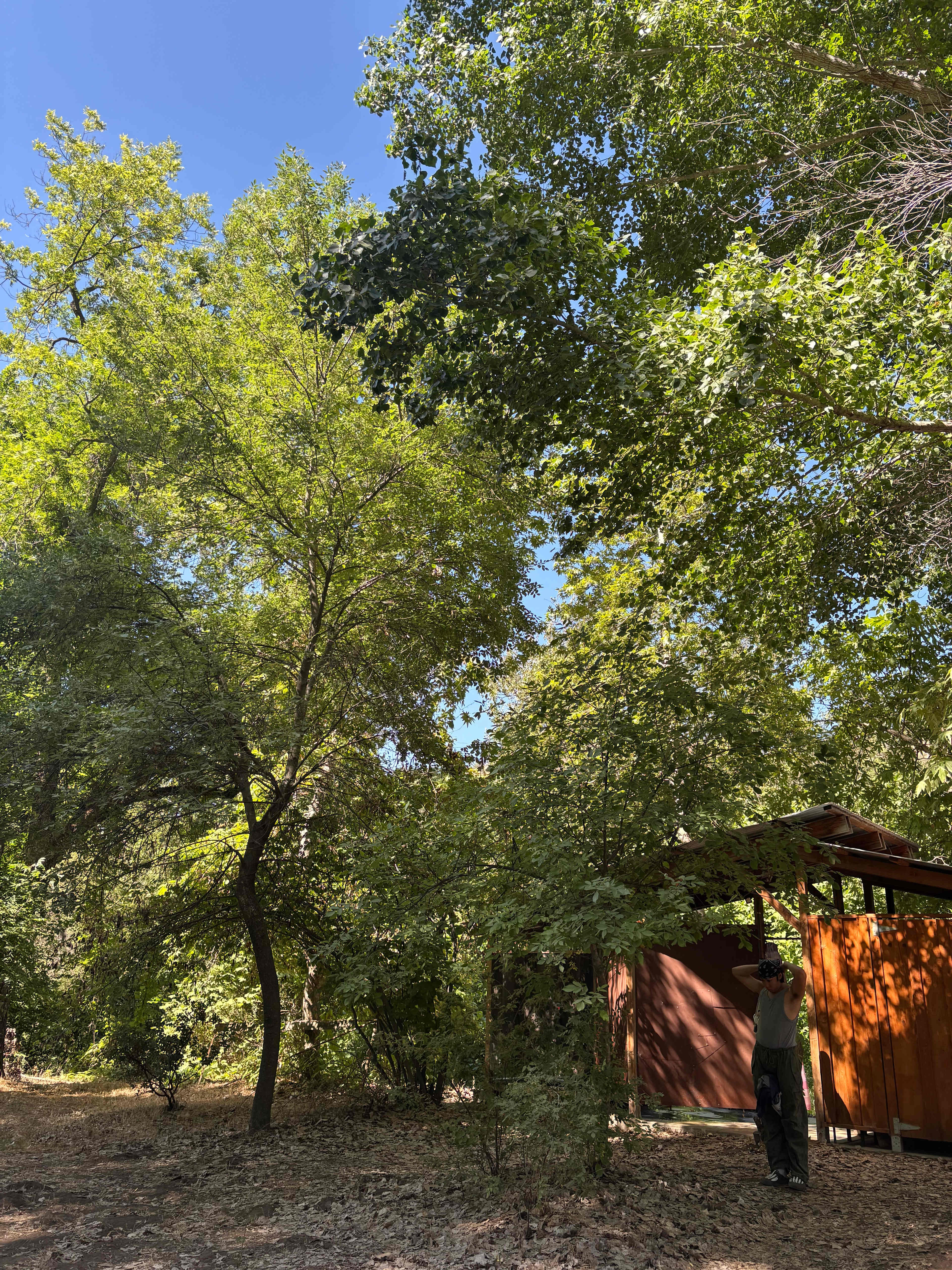 Sierra Ranch - Cabins & Tents