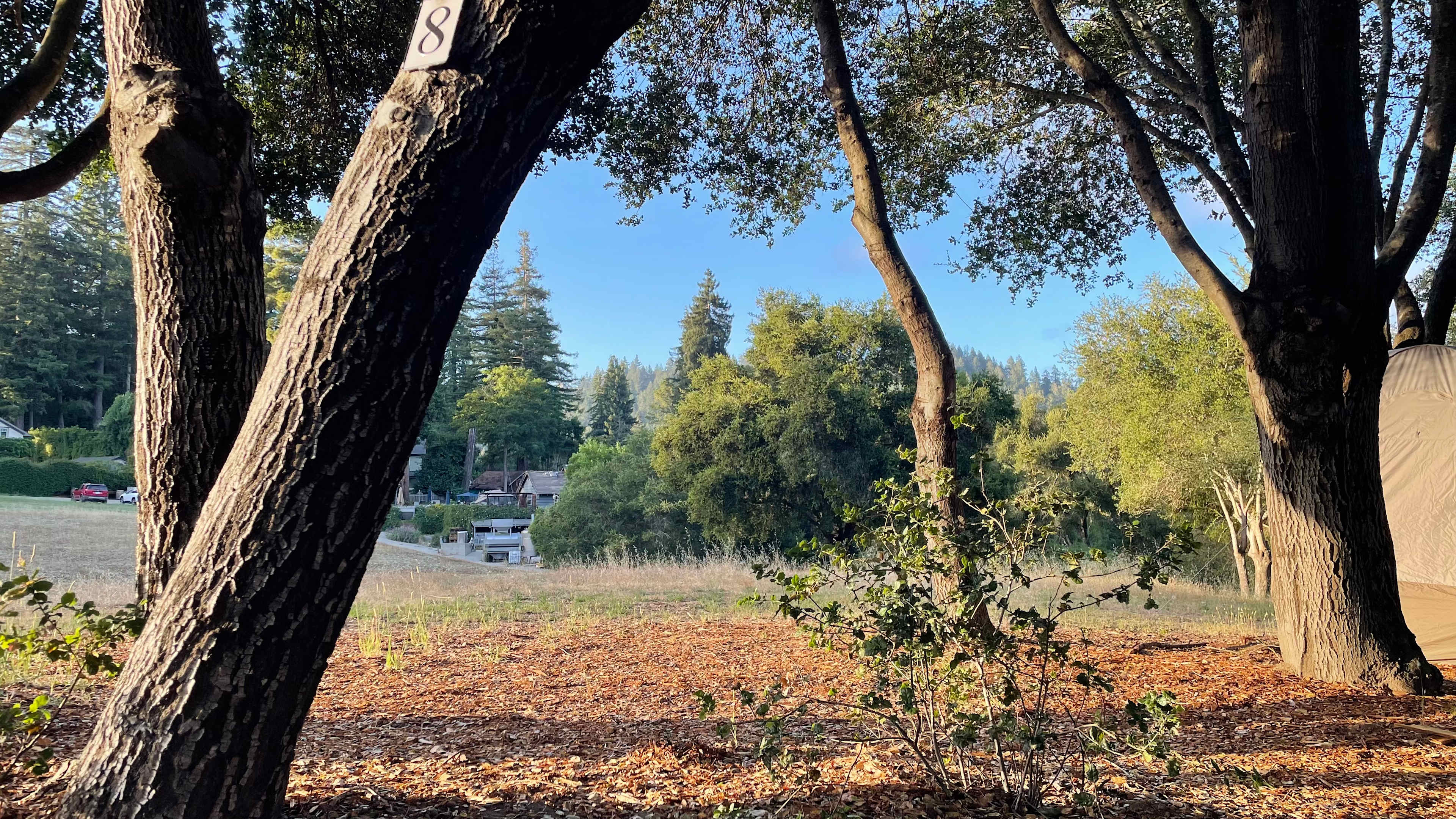 Felton Open Space Camp Sites