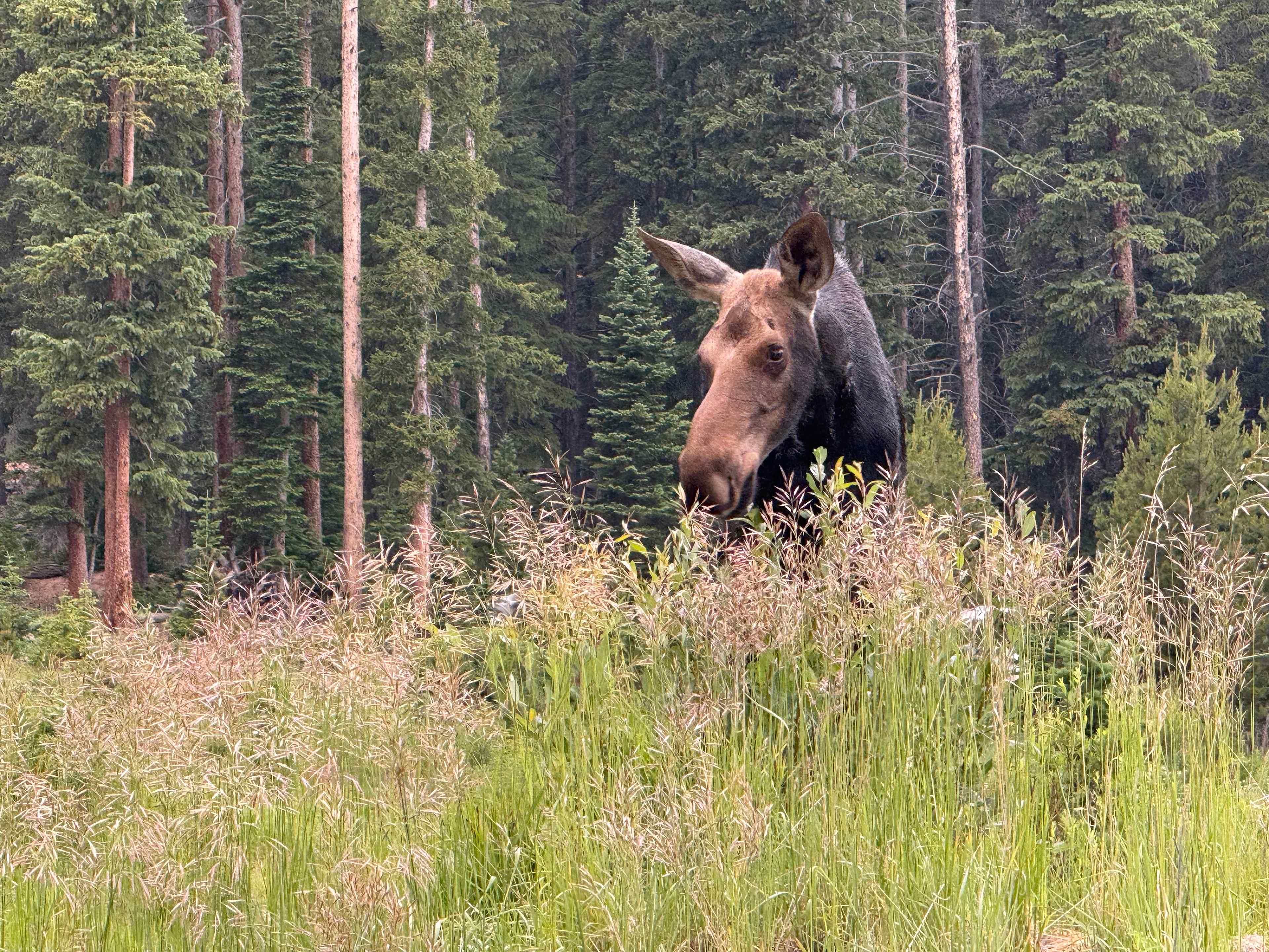 Wideawake Ranch and Waterhouse