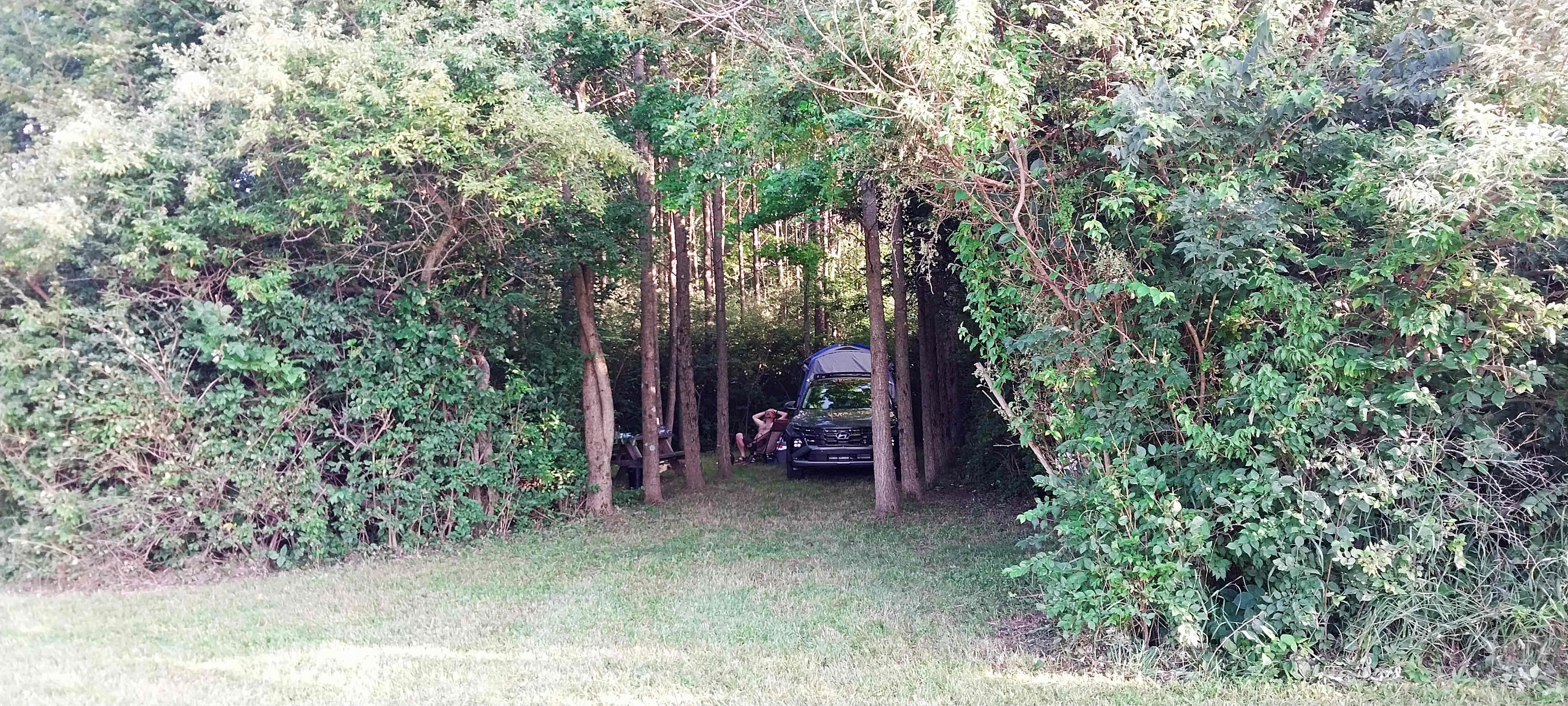Madden Farm