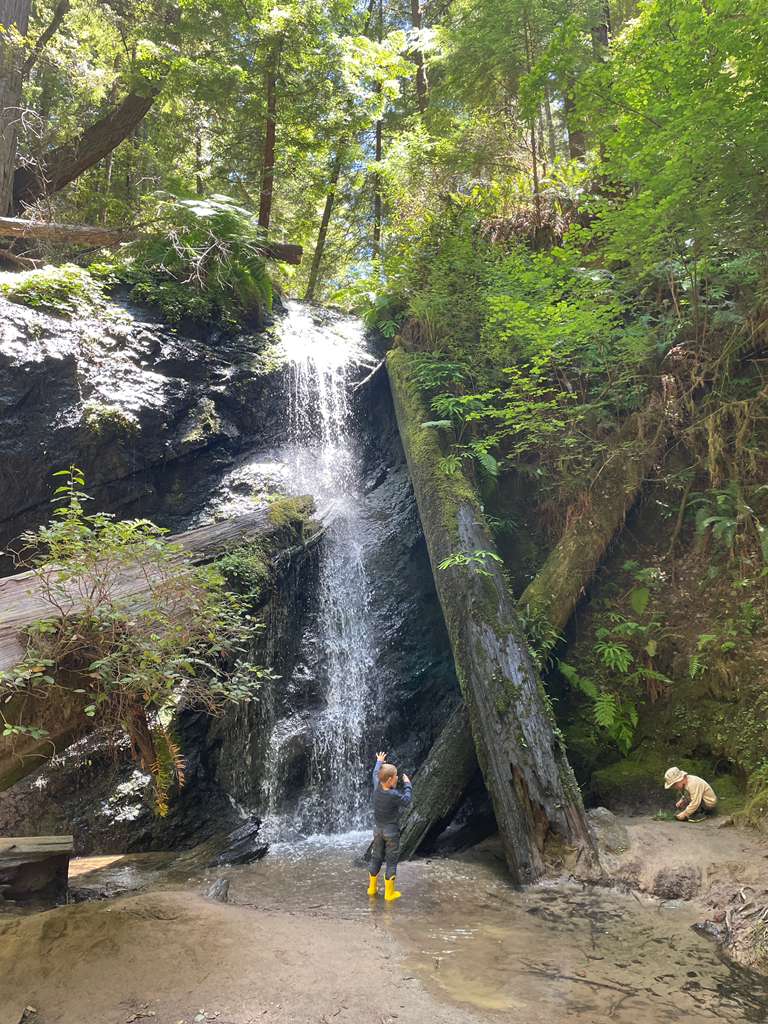 Waterfall Camp