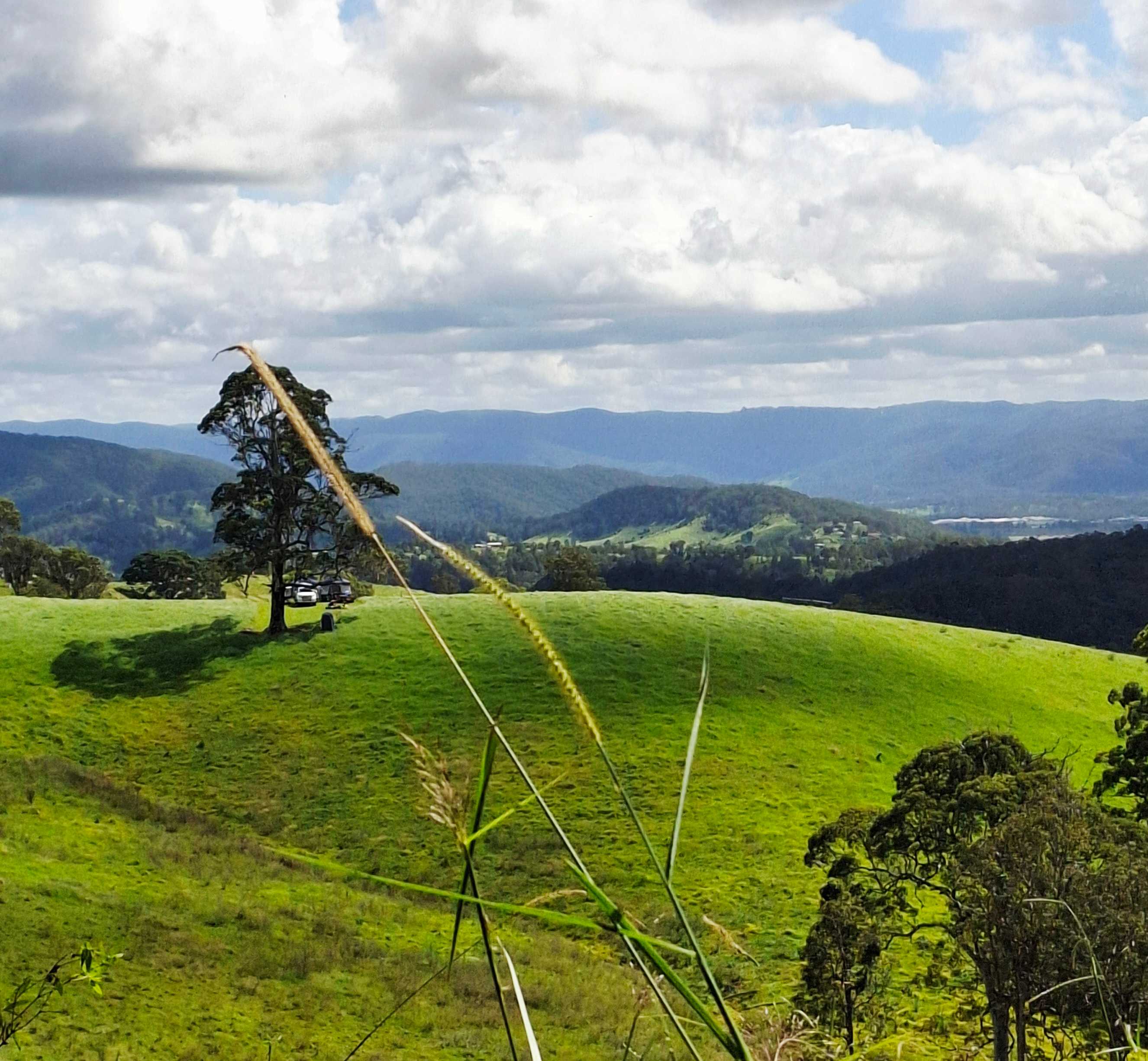 Coorie Vale