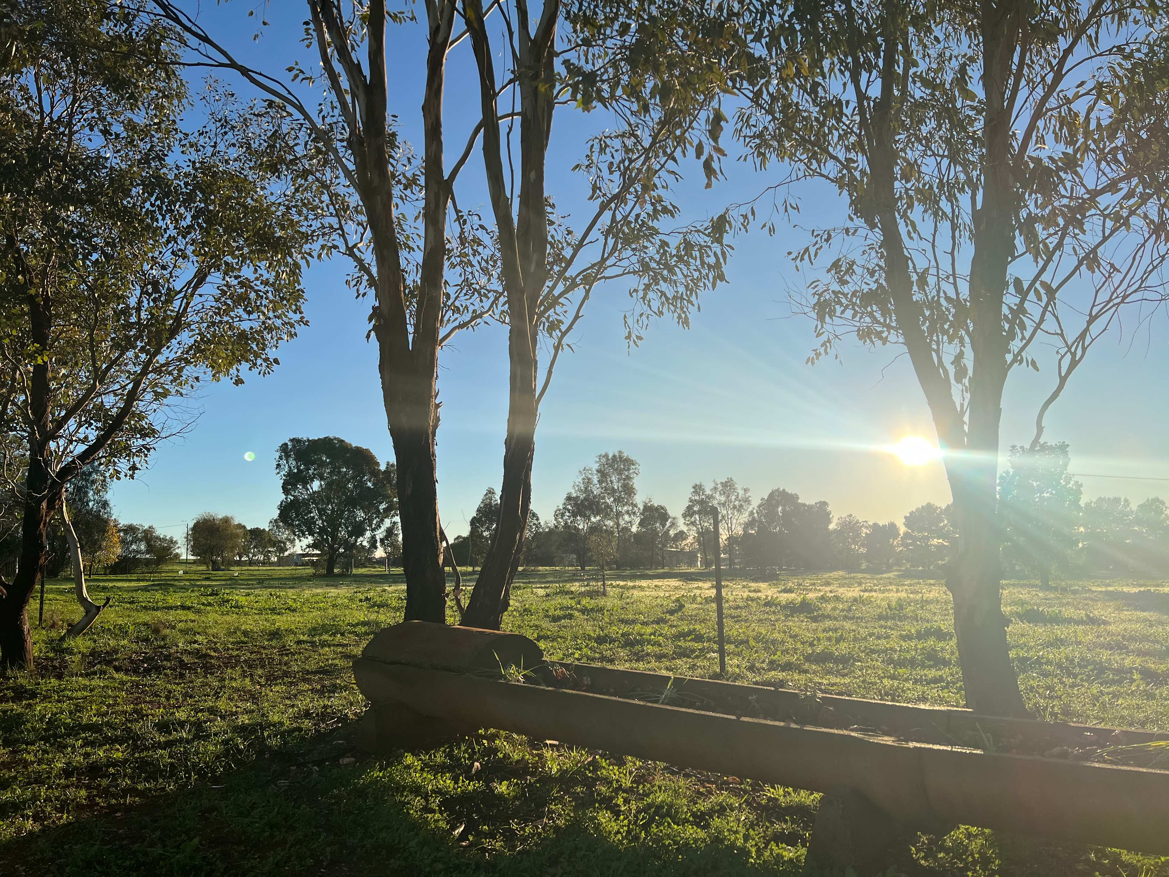 Springvale