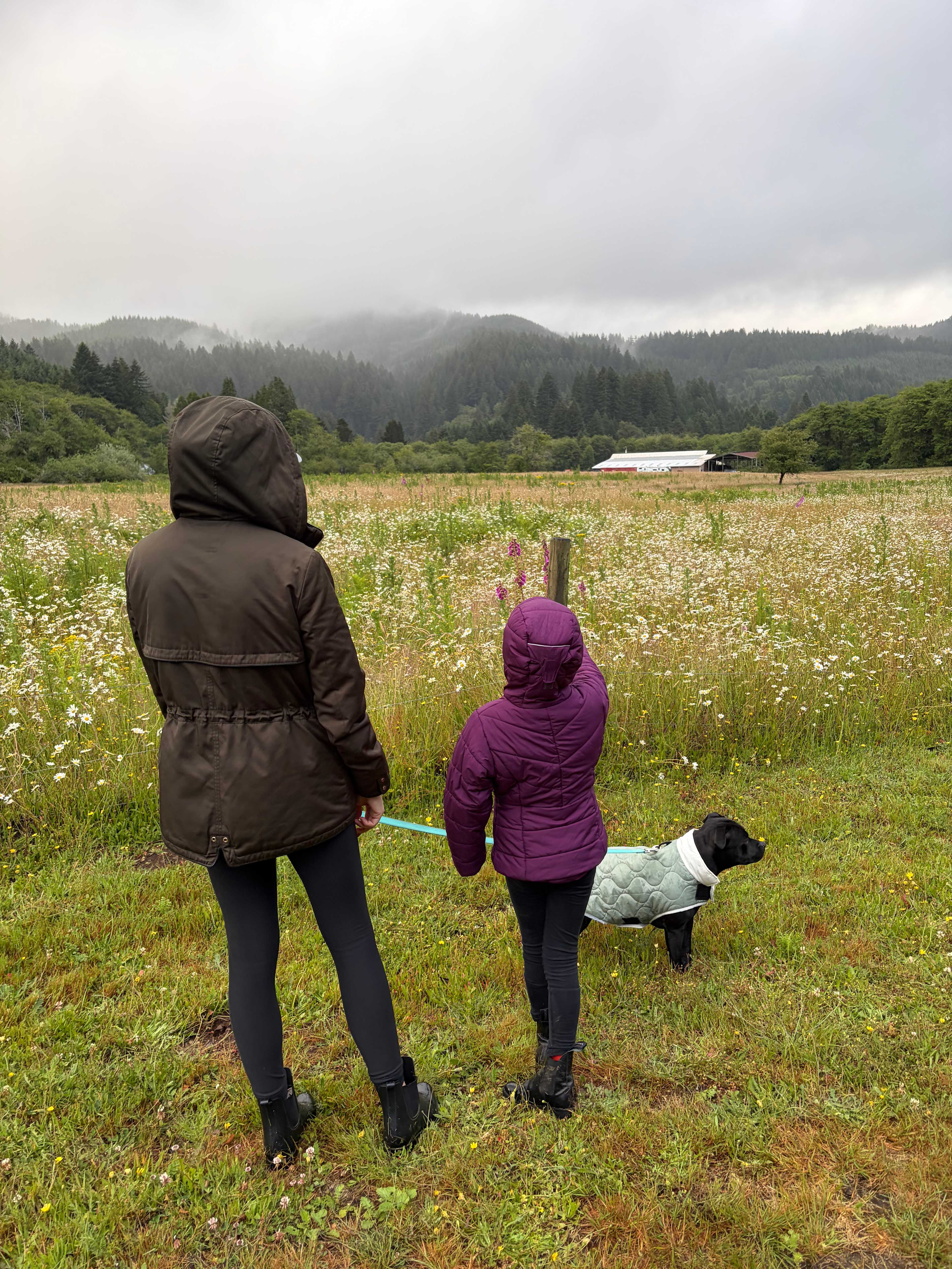 Even on a super wet weekend, so much to explore!