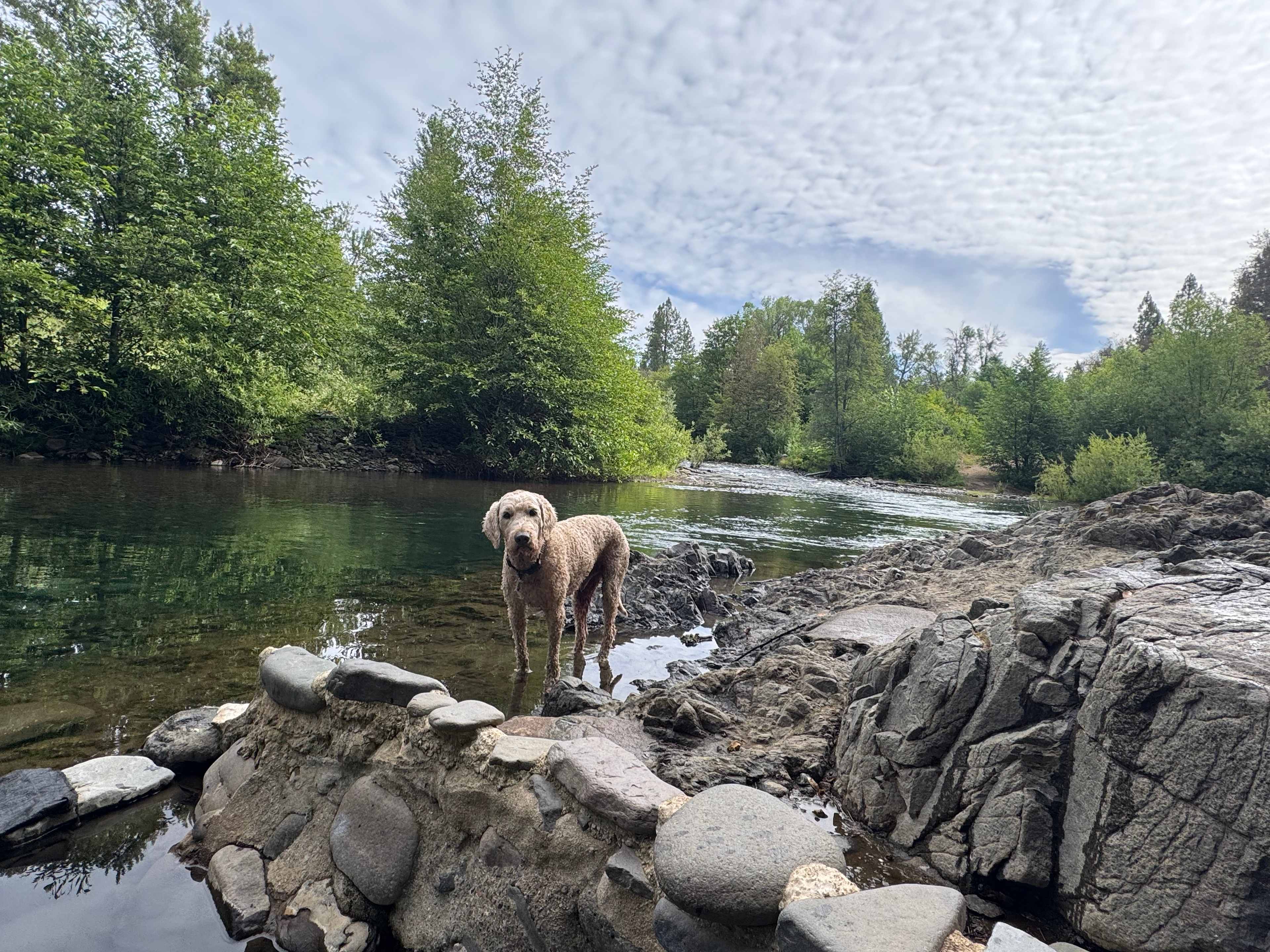 Kosk Creek Campgrounds