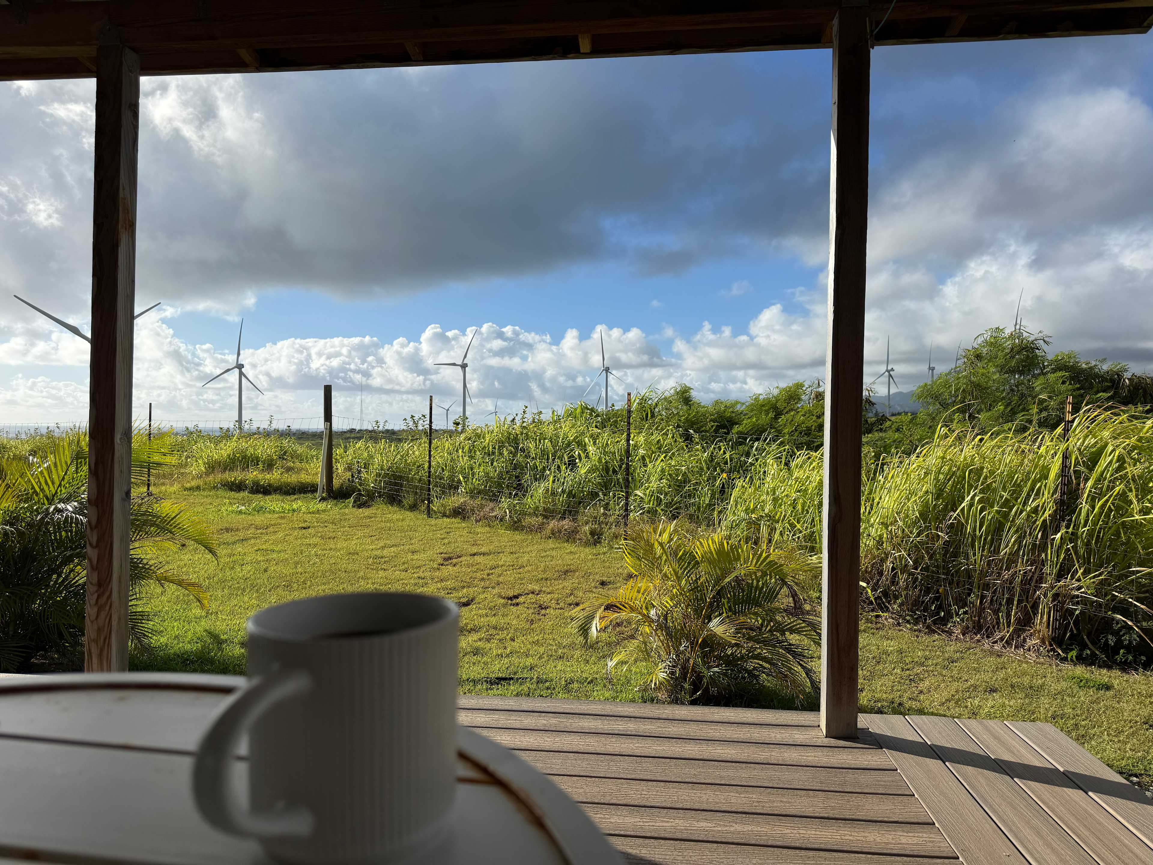 Coffee on the deck