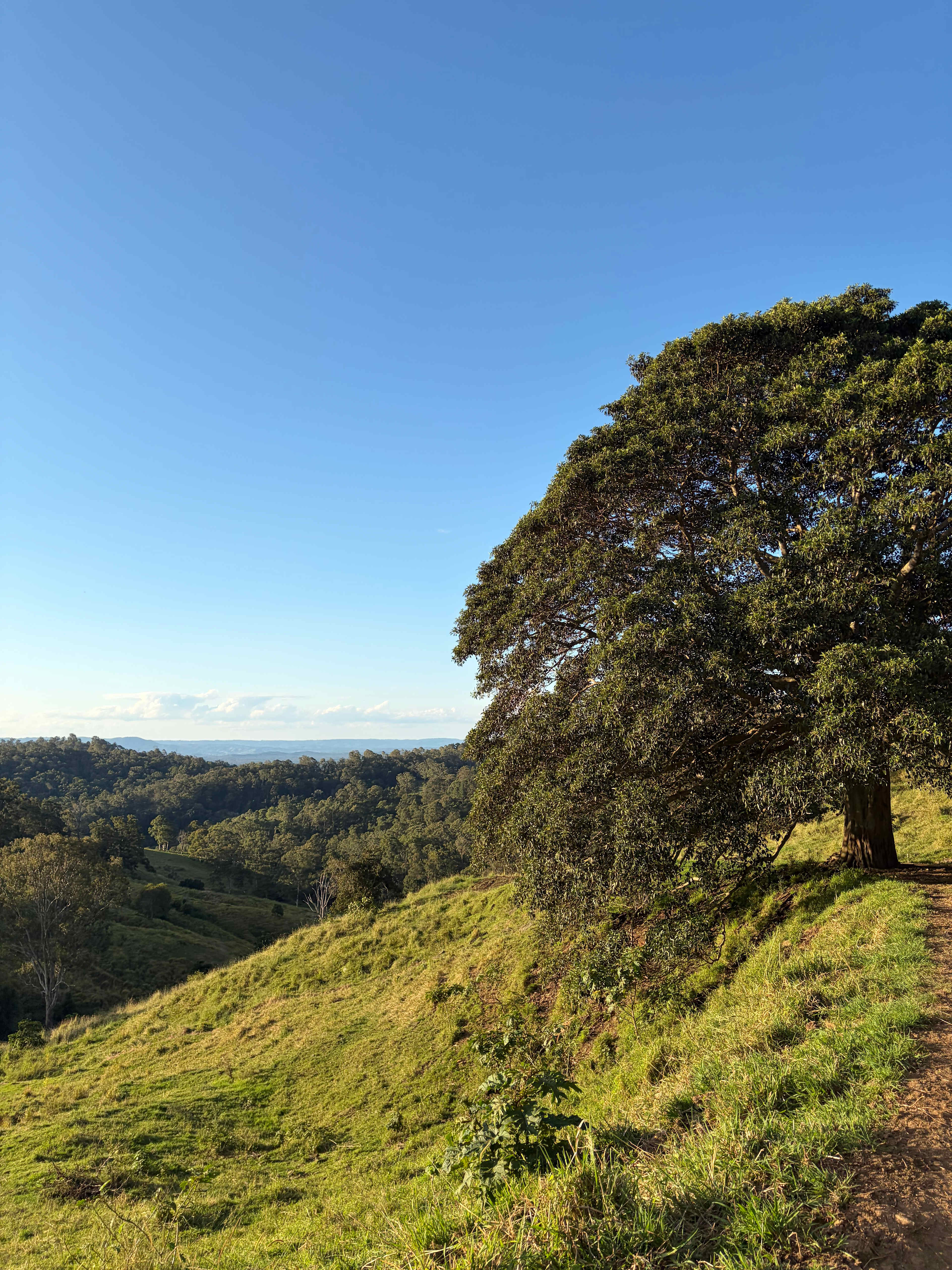 Coorie Vale