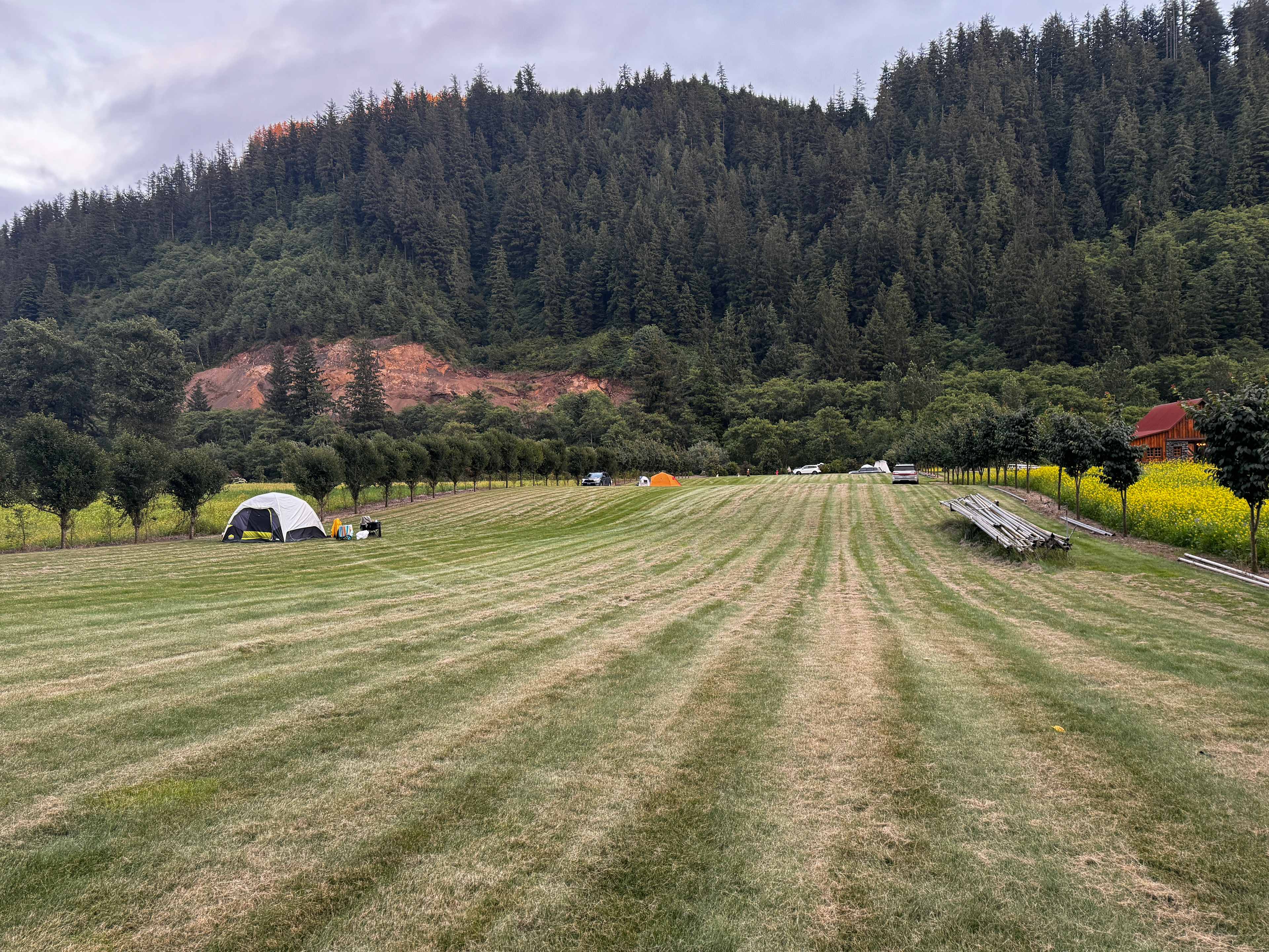 Picture of the site