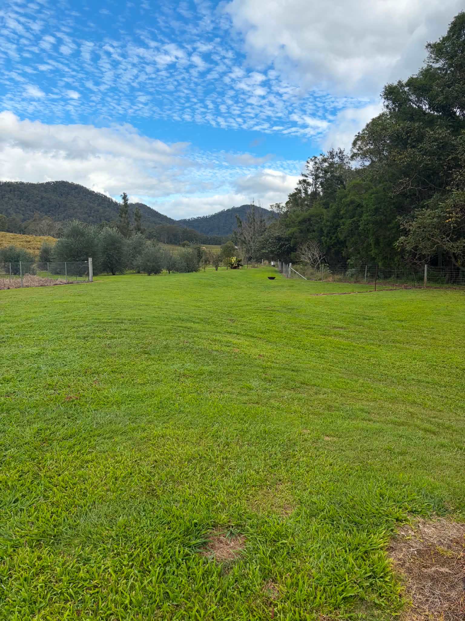 The Orchard