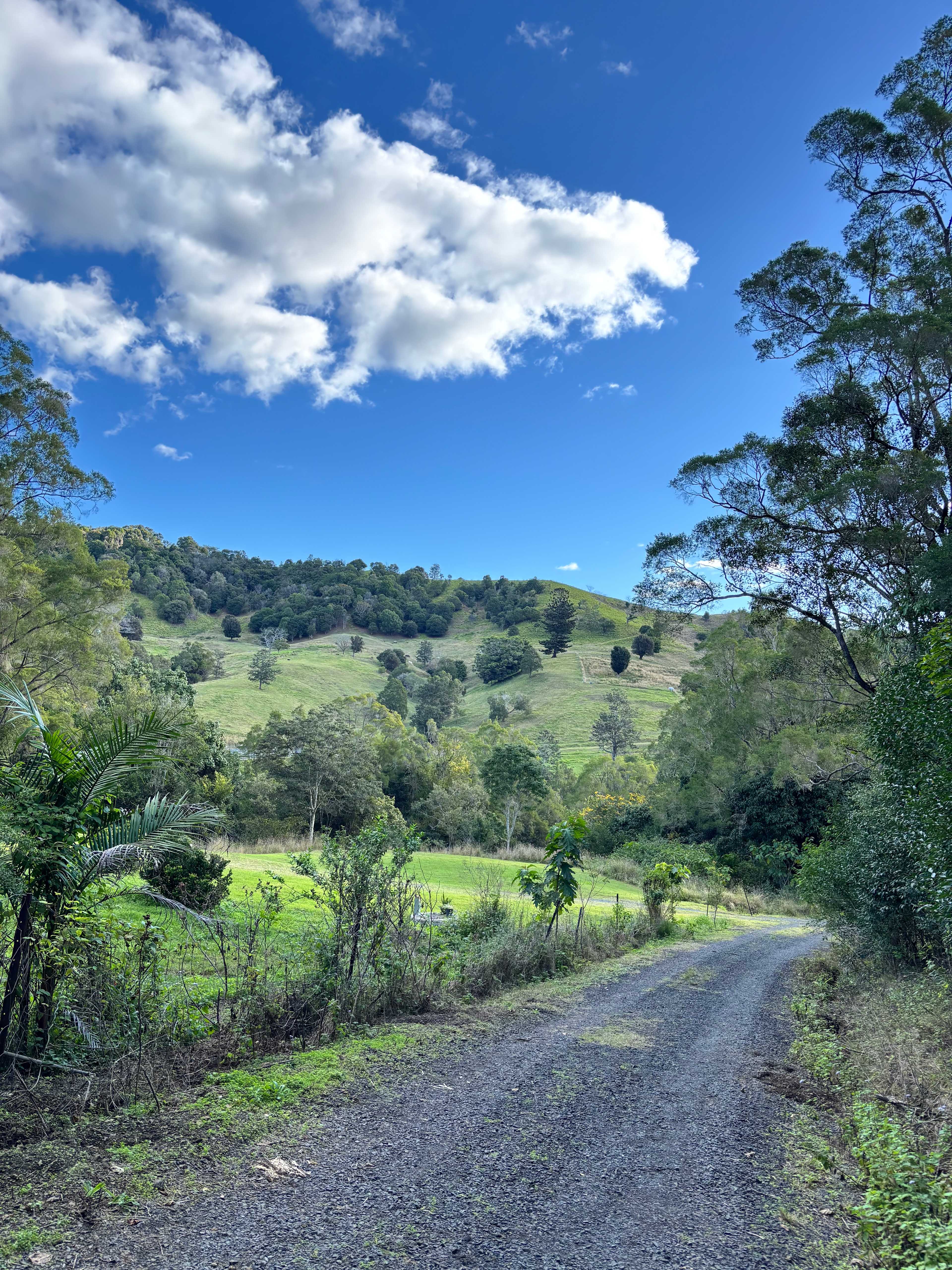 View from walking track.