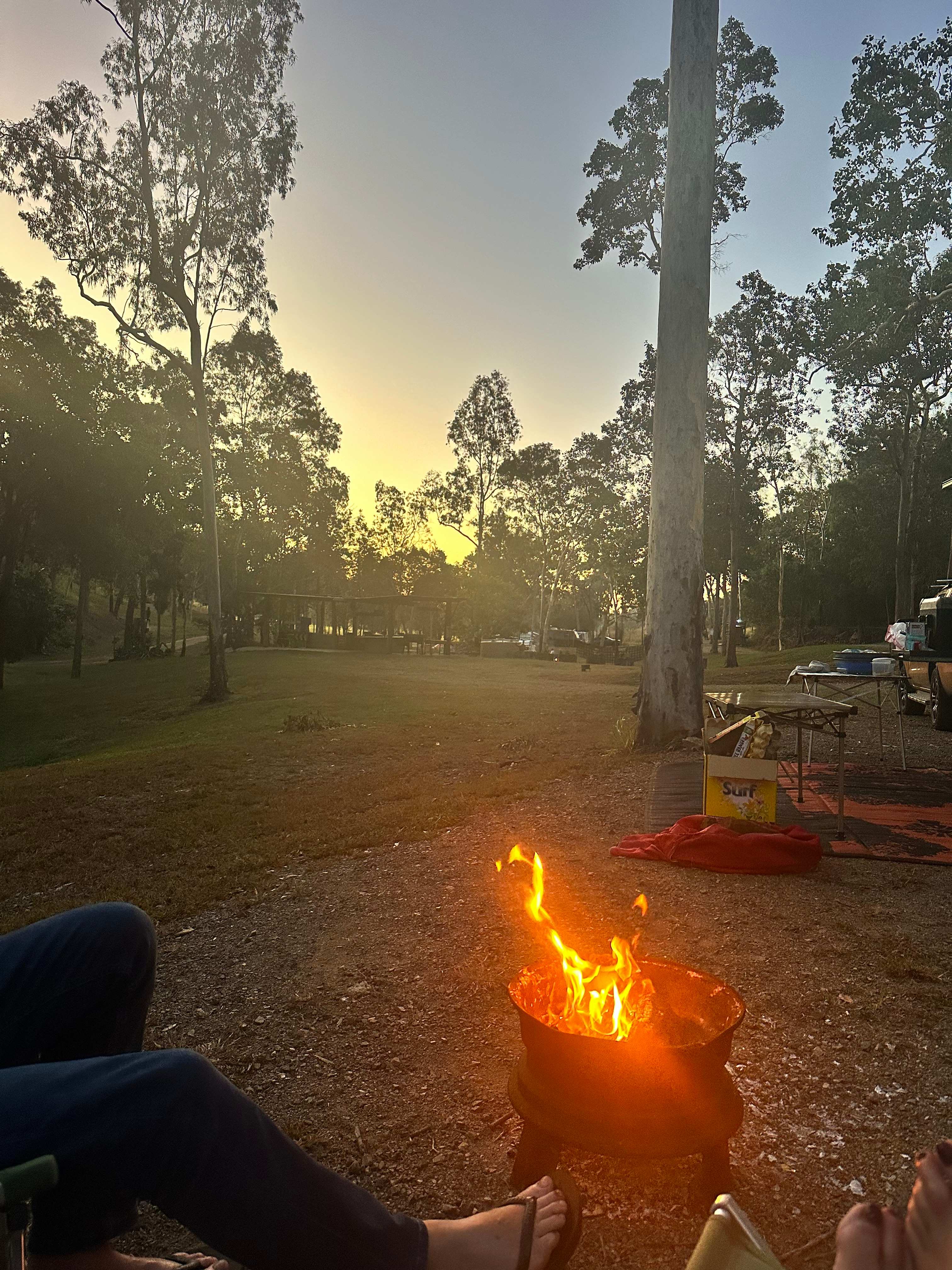 Firebug