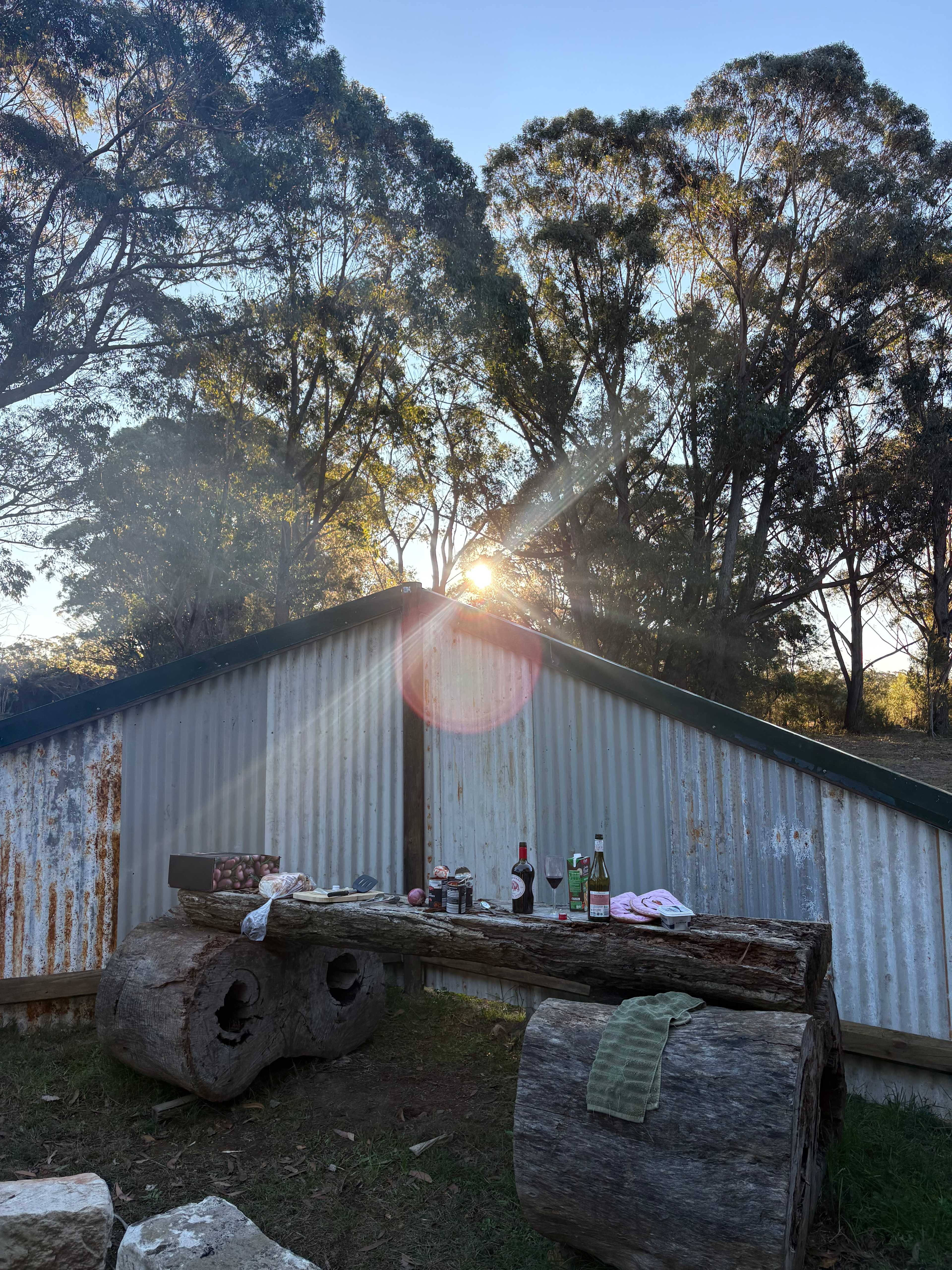 Old Forty Pumpkin Farm