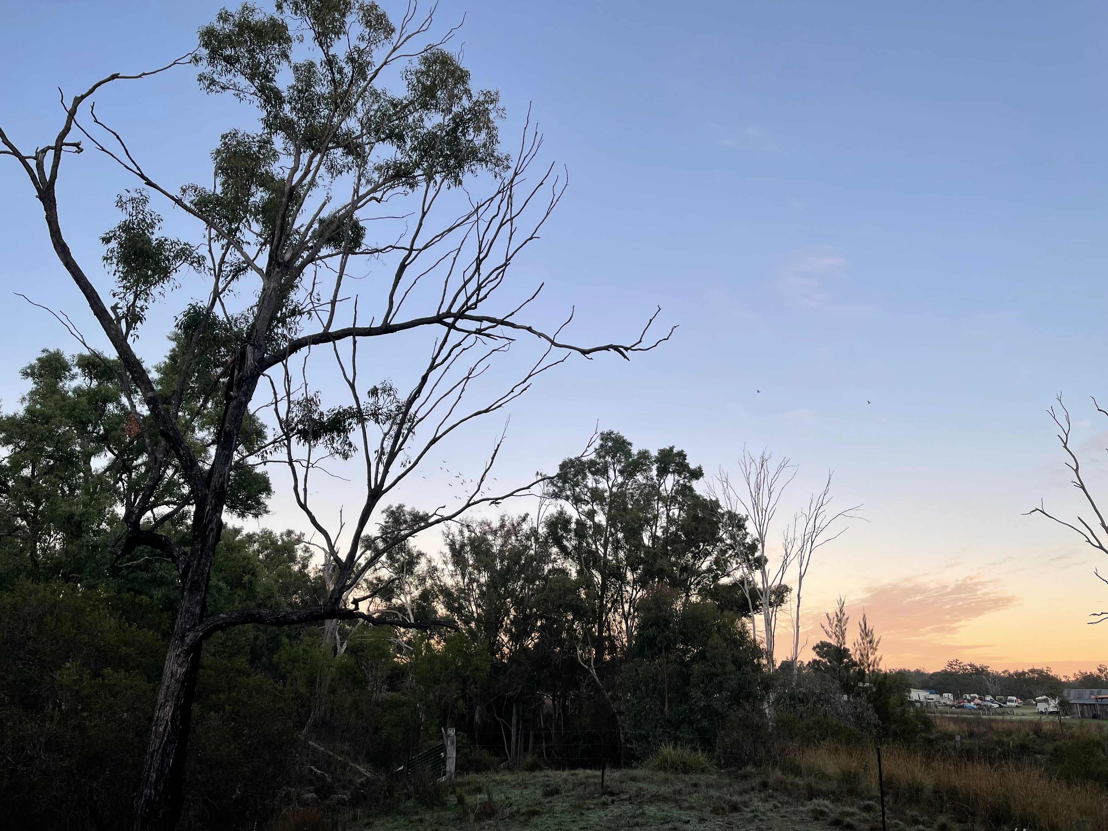 Goldfields-Thanes Creek