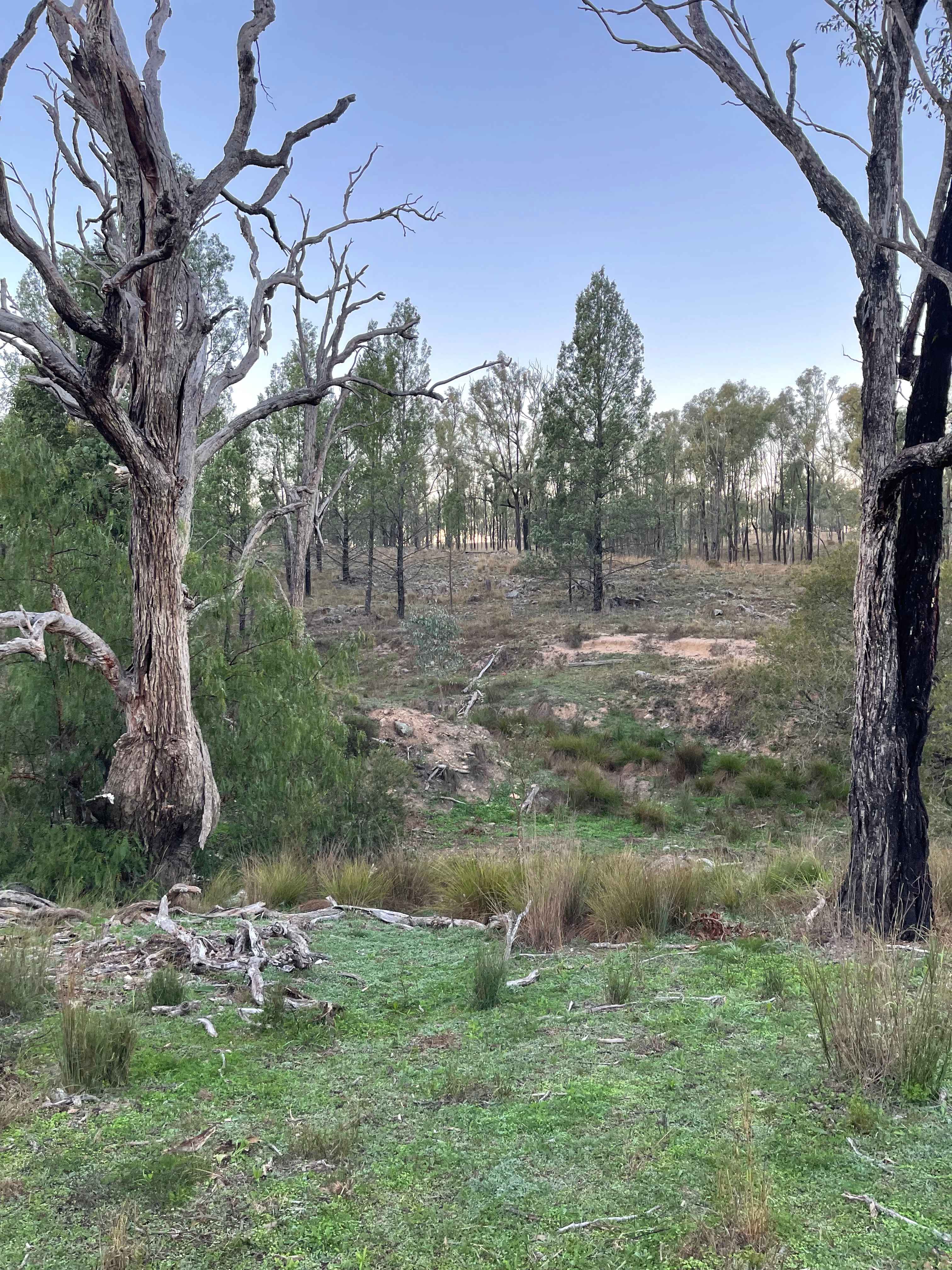 Picture of the site