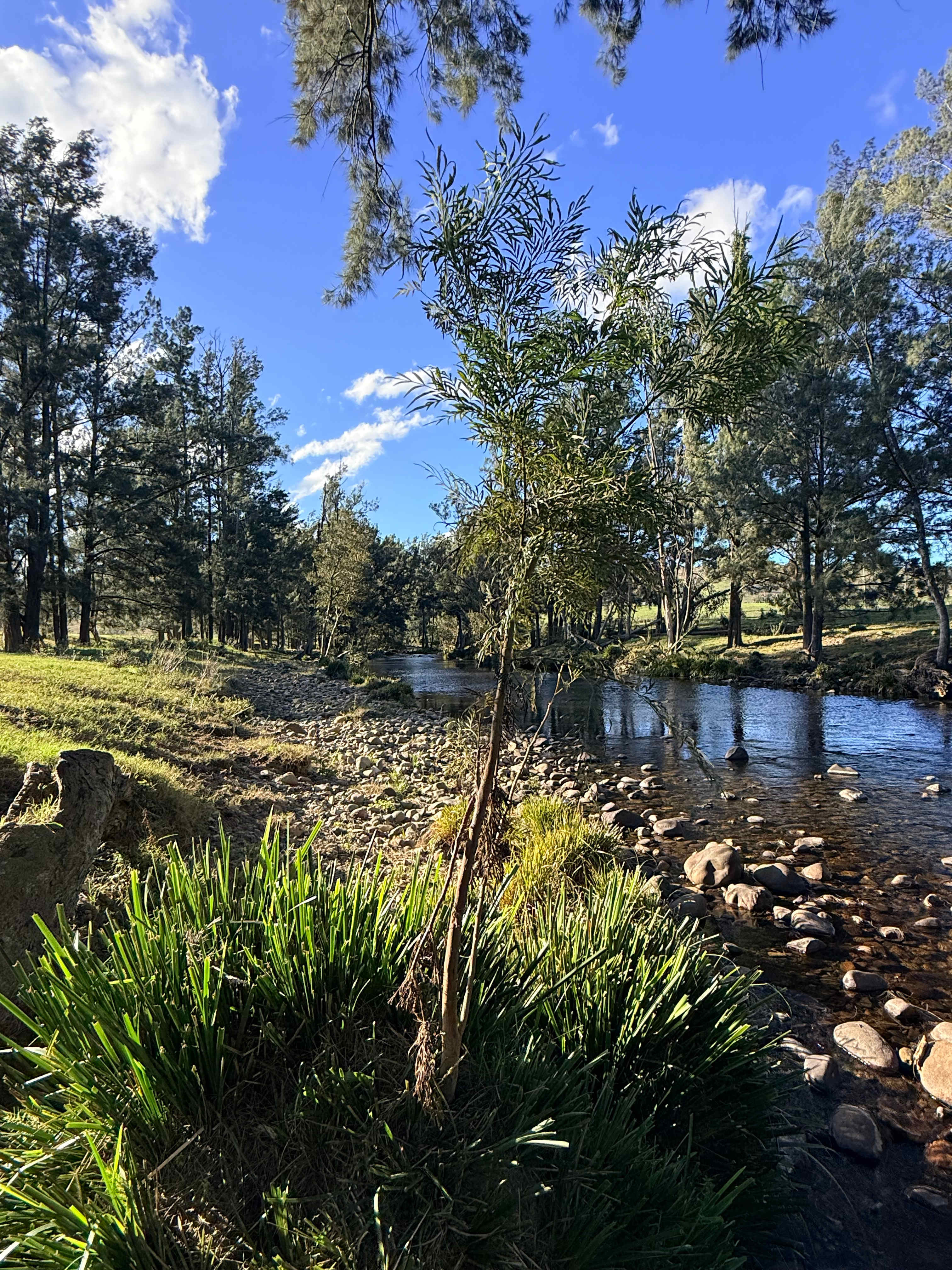 Platypus Pools
