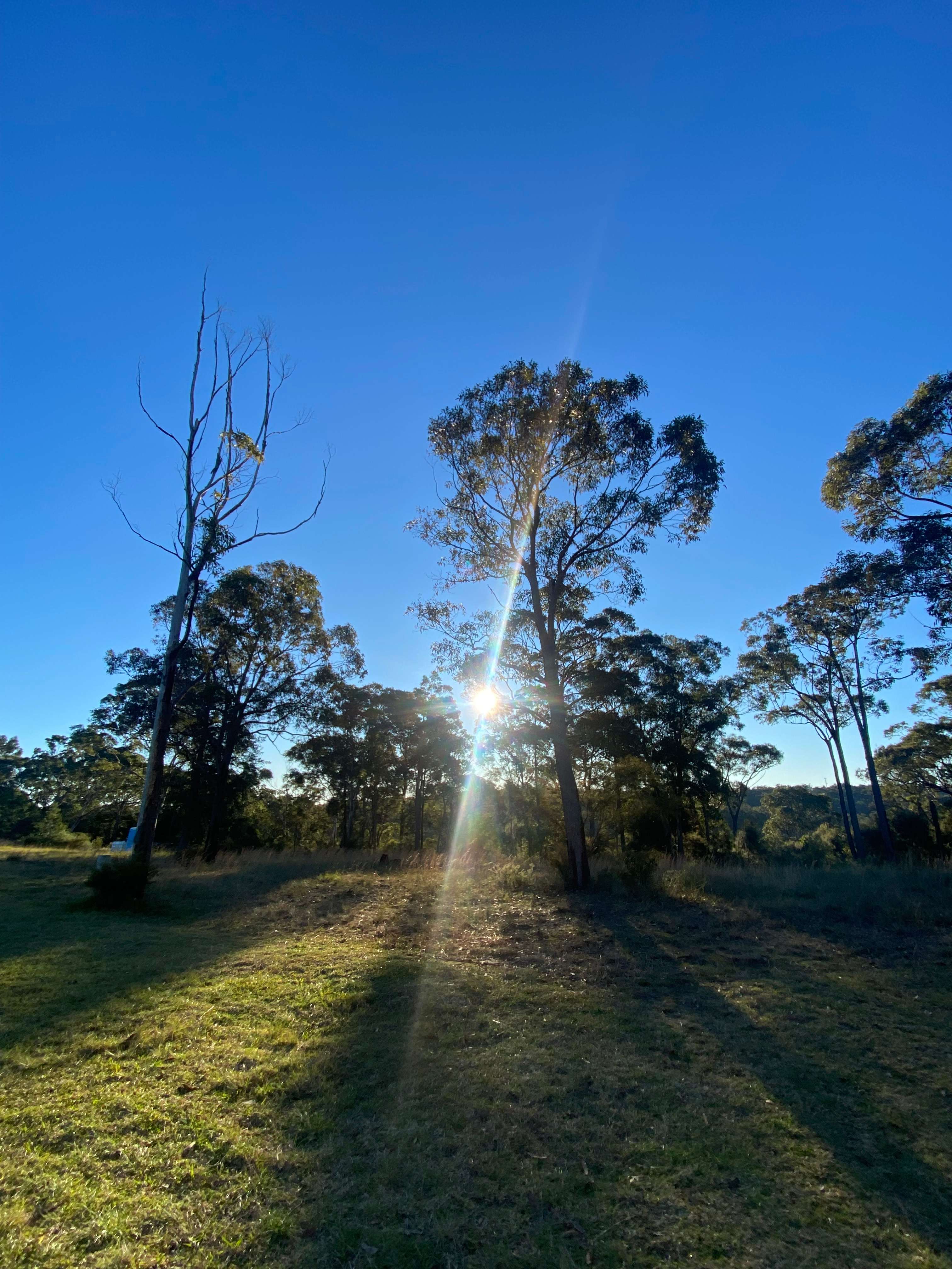 Canoelands Valley Camping