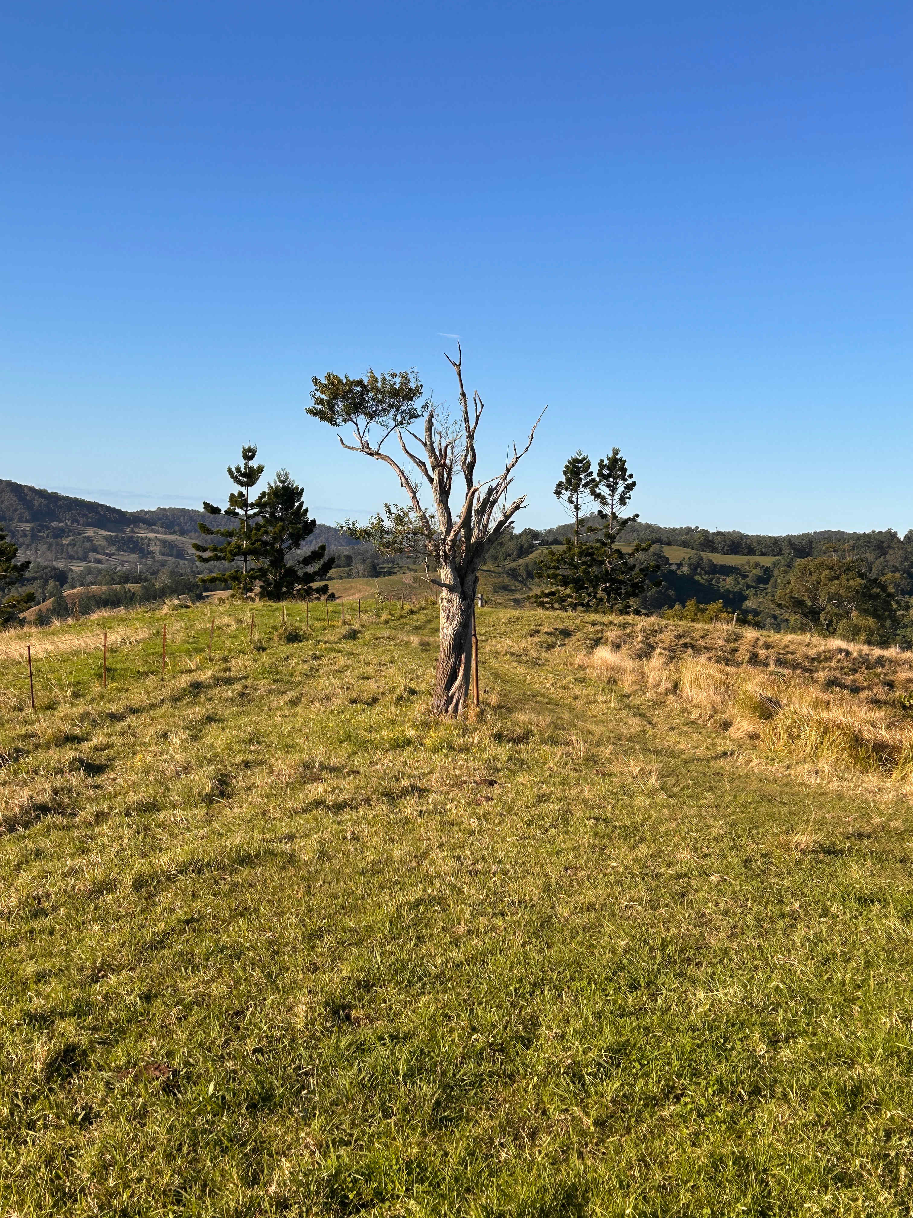 Oakey Ridge