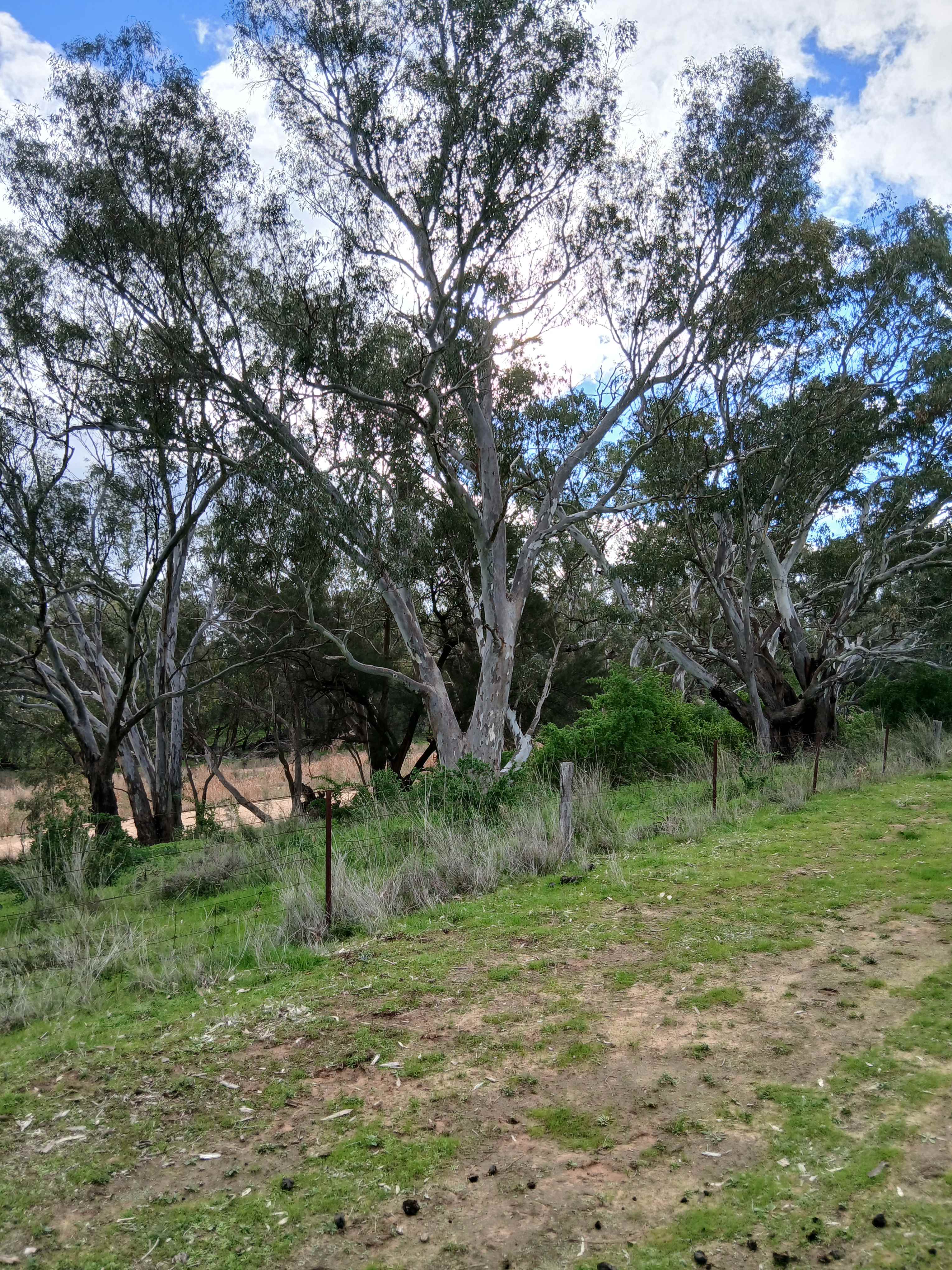 Breelong Valley