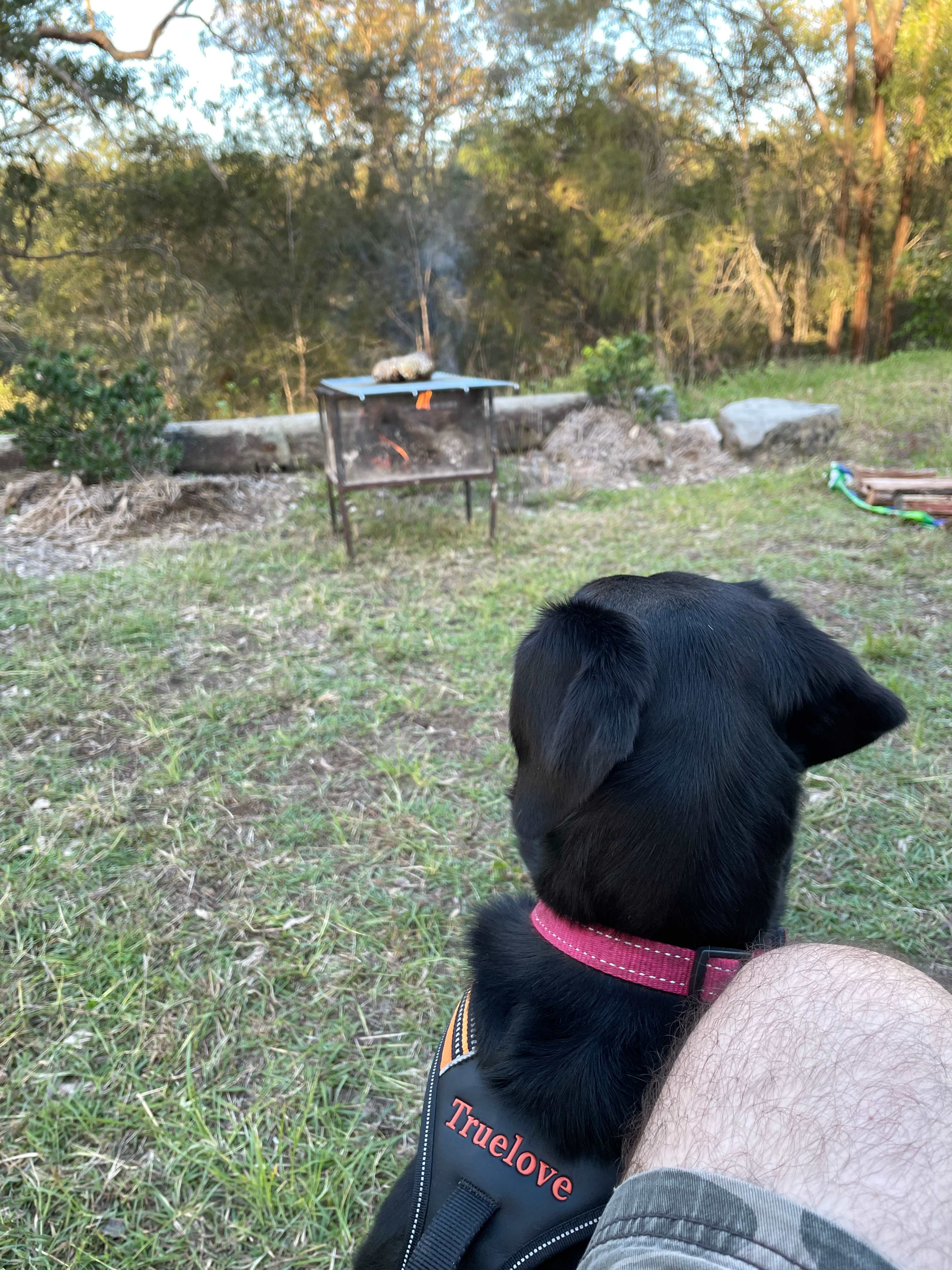Cheriton Bush Camp