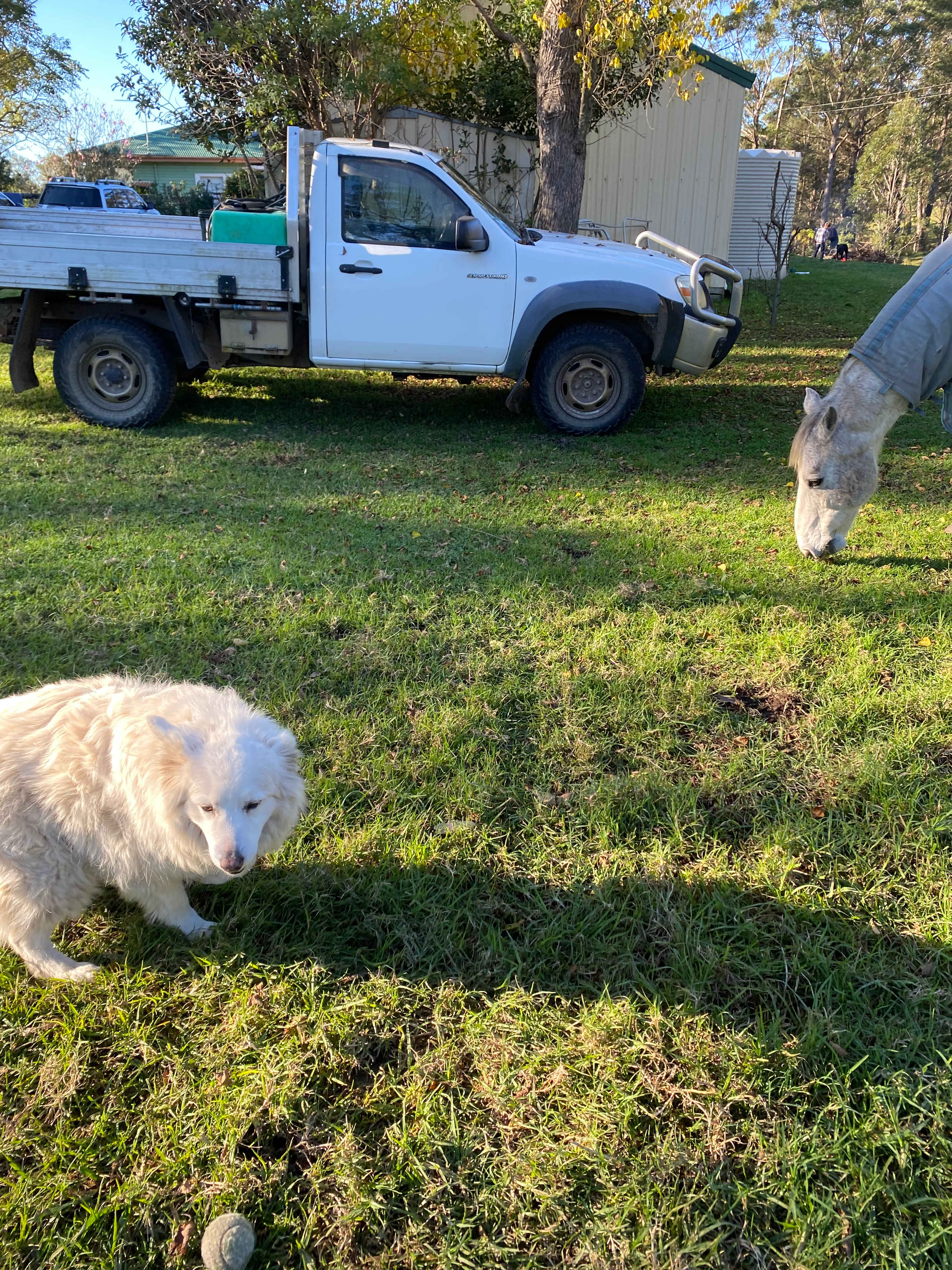 Little Forest Farmstay