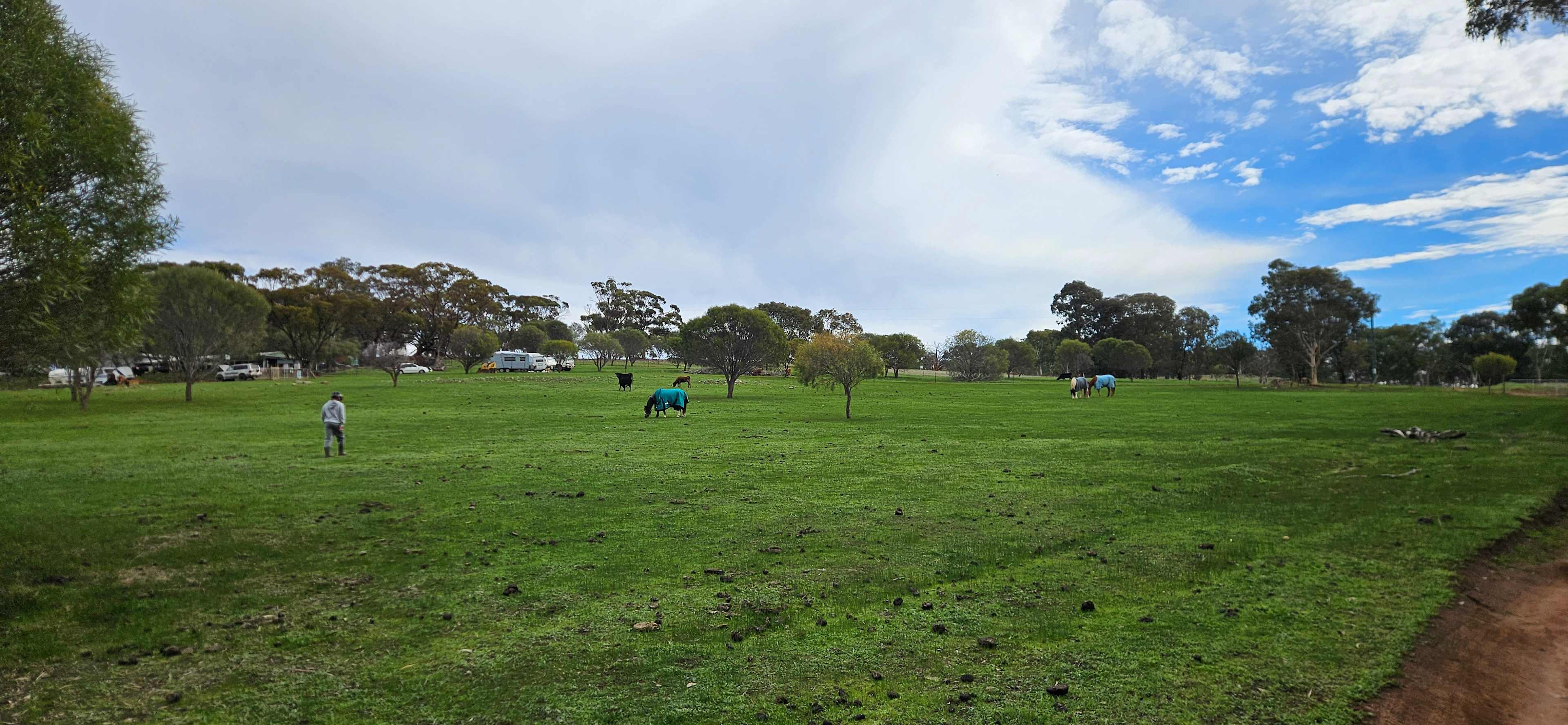 Avonbrook Wheatbelt creekside camp