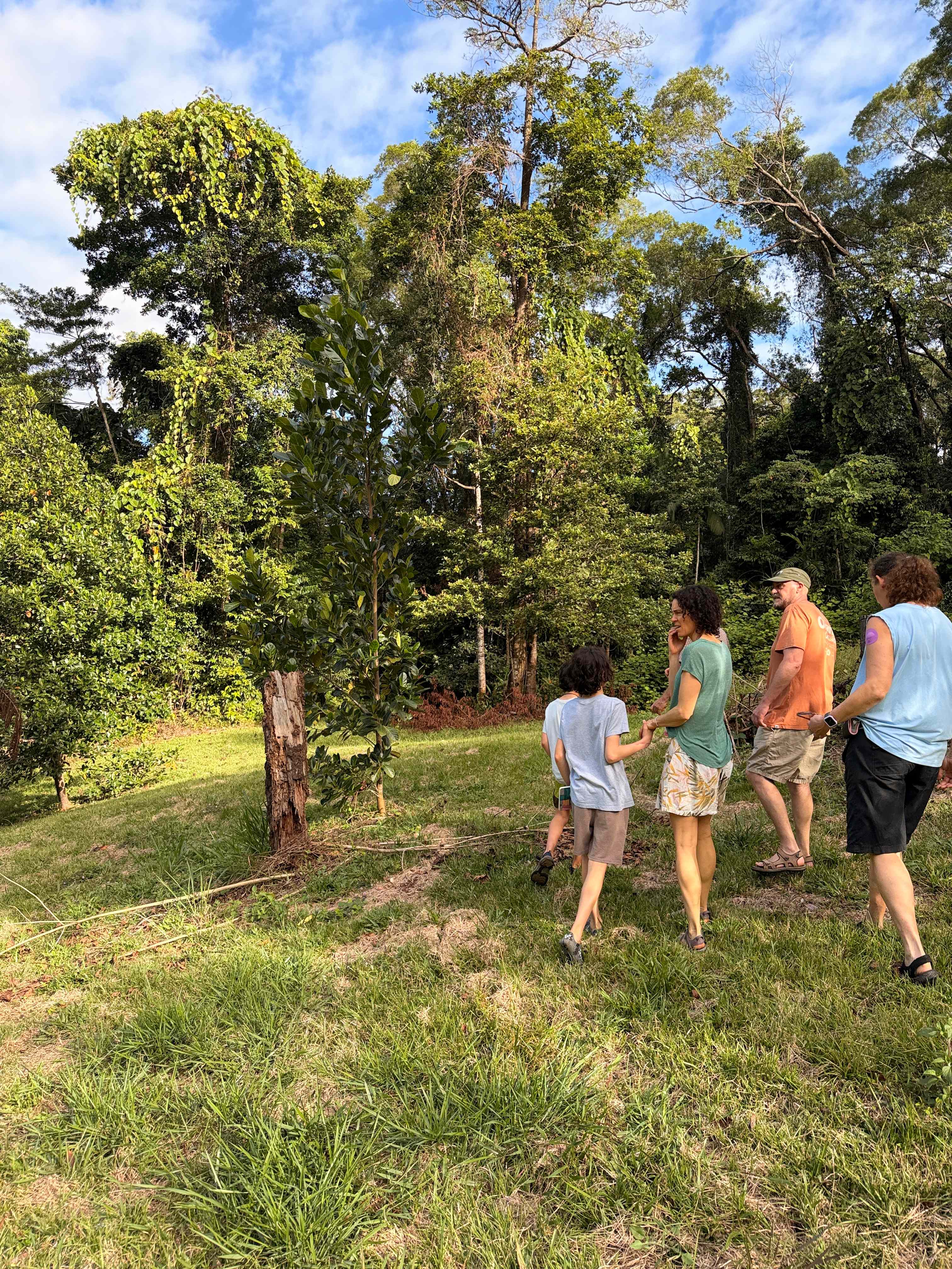 Daintree Exotics Camping